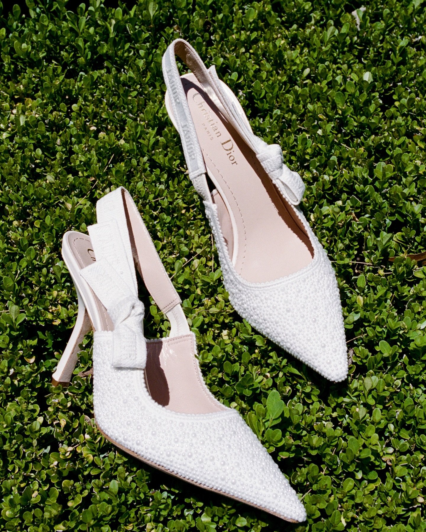 Film from Lara &amp; Chad&rsquo;s summer wedding @redleafwollombi 

Wedding Planner &amp; Stylist &mdash;&nbsp;@yourdaybychloe
Photographer &amp; Videographer &mdash;&nbsp;@pearcebrennanweddings
Venue &mdash;&nbsp;@redleafwollombi
Dress &mdash;&nbsp;