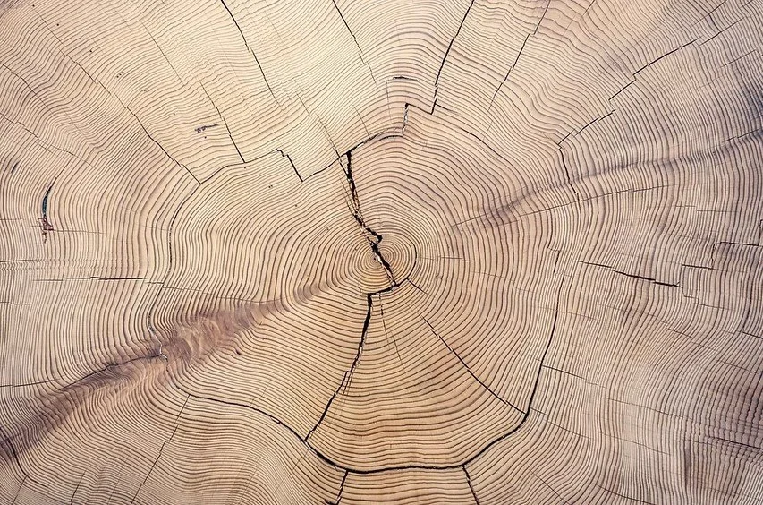 Screenshot 2026-03-23 095448.jpg