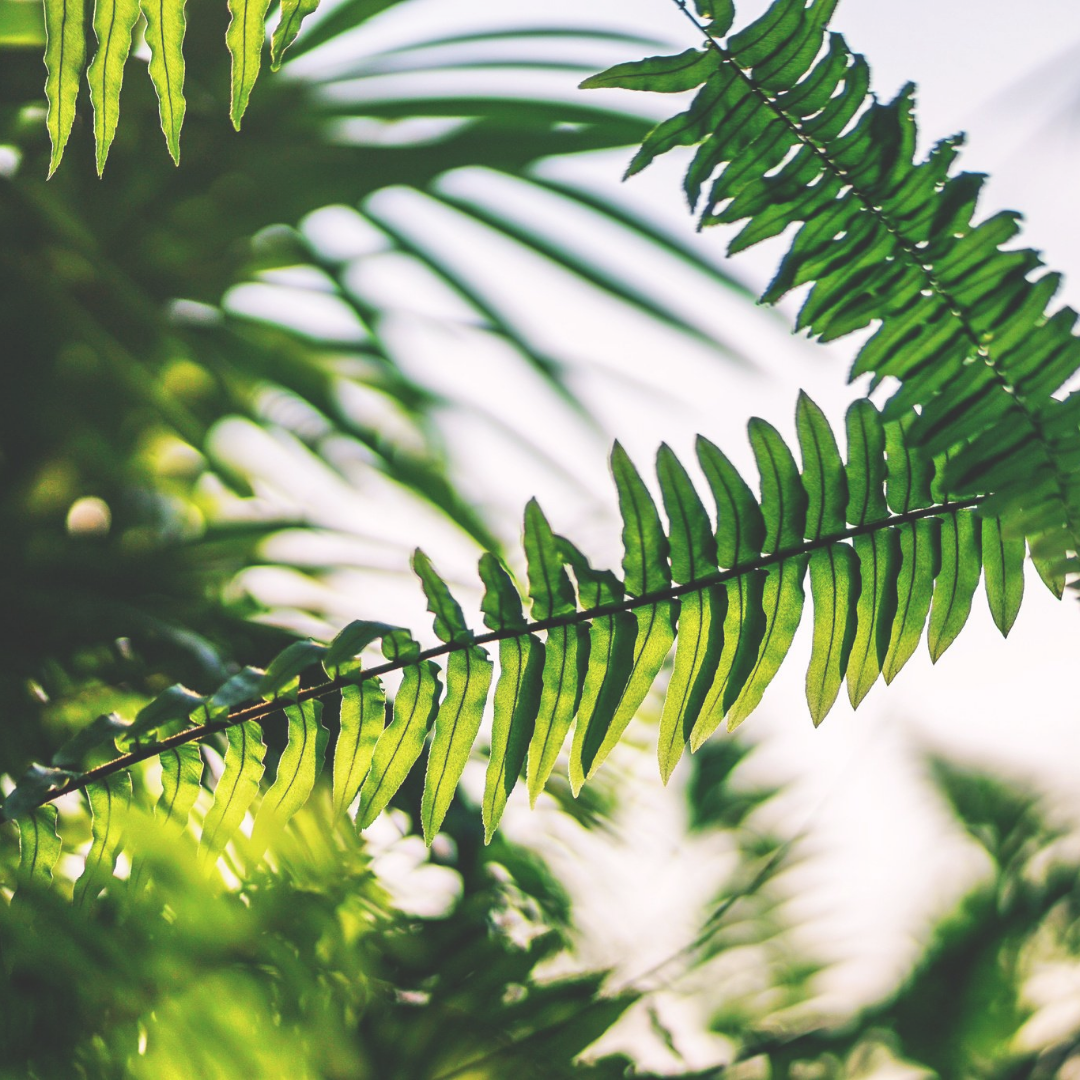 Monday Morning Yoga - 6 week course