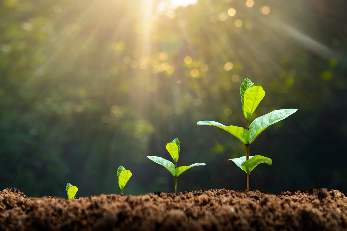 Sustainability Everyday