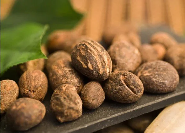 Shea Butter vs. Shea Oil