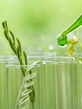 Close-up of a green plant stem with a droplet of green liquid on a pipette above a glass container, with a blurred green background.