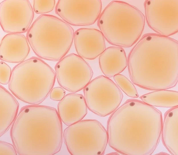Illustration of yellow and orange bubbles with pink outlines and small black dots on some bubbles.