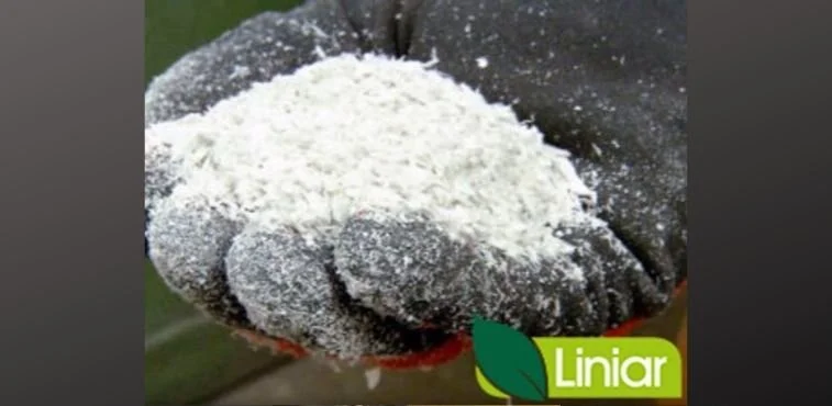 Sustainability Award Nomination for Liniar