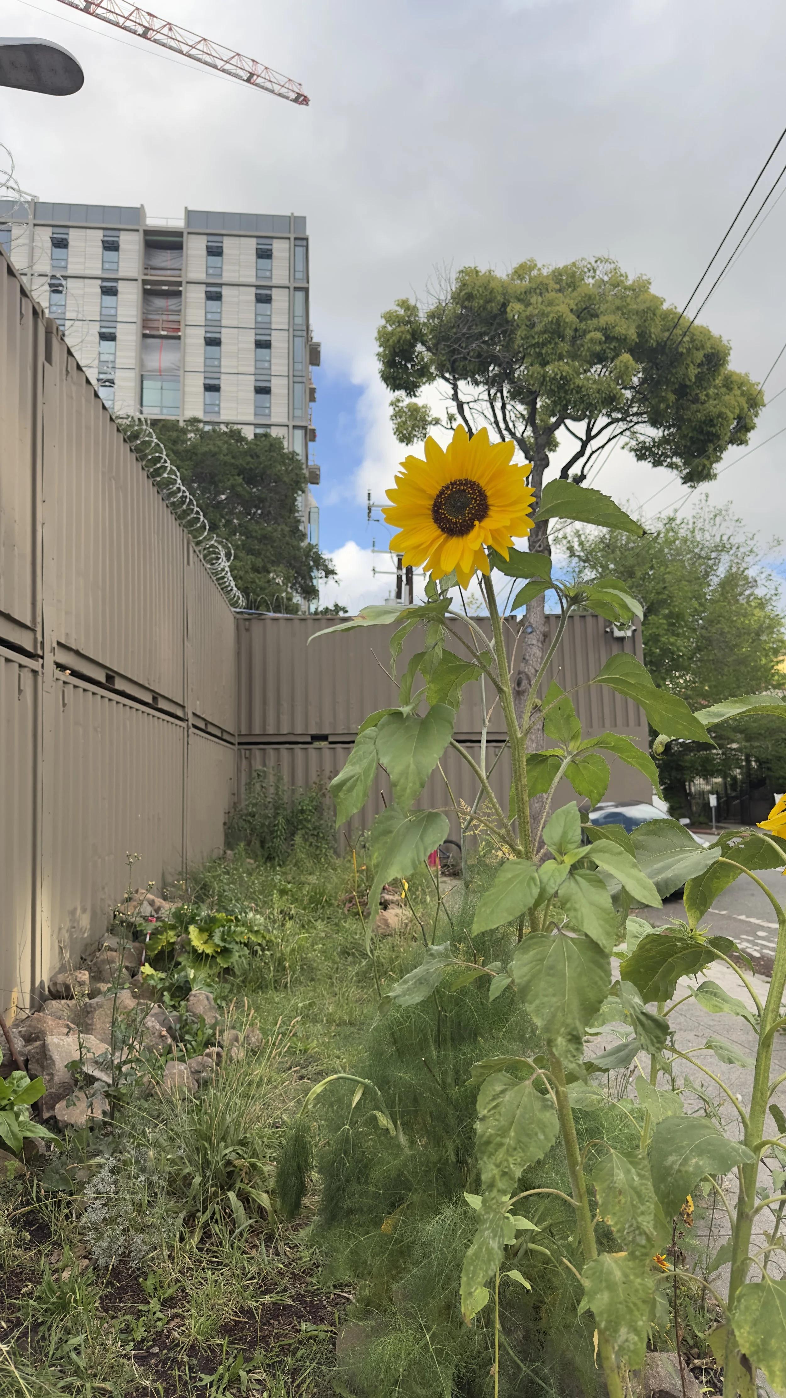 Public Space Is What Makes a Neighborhood