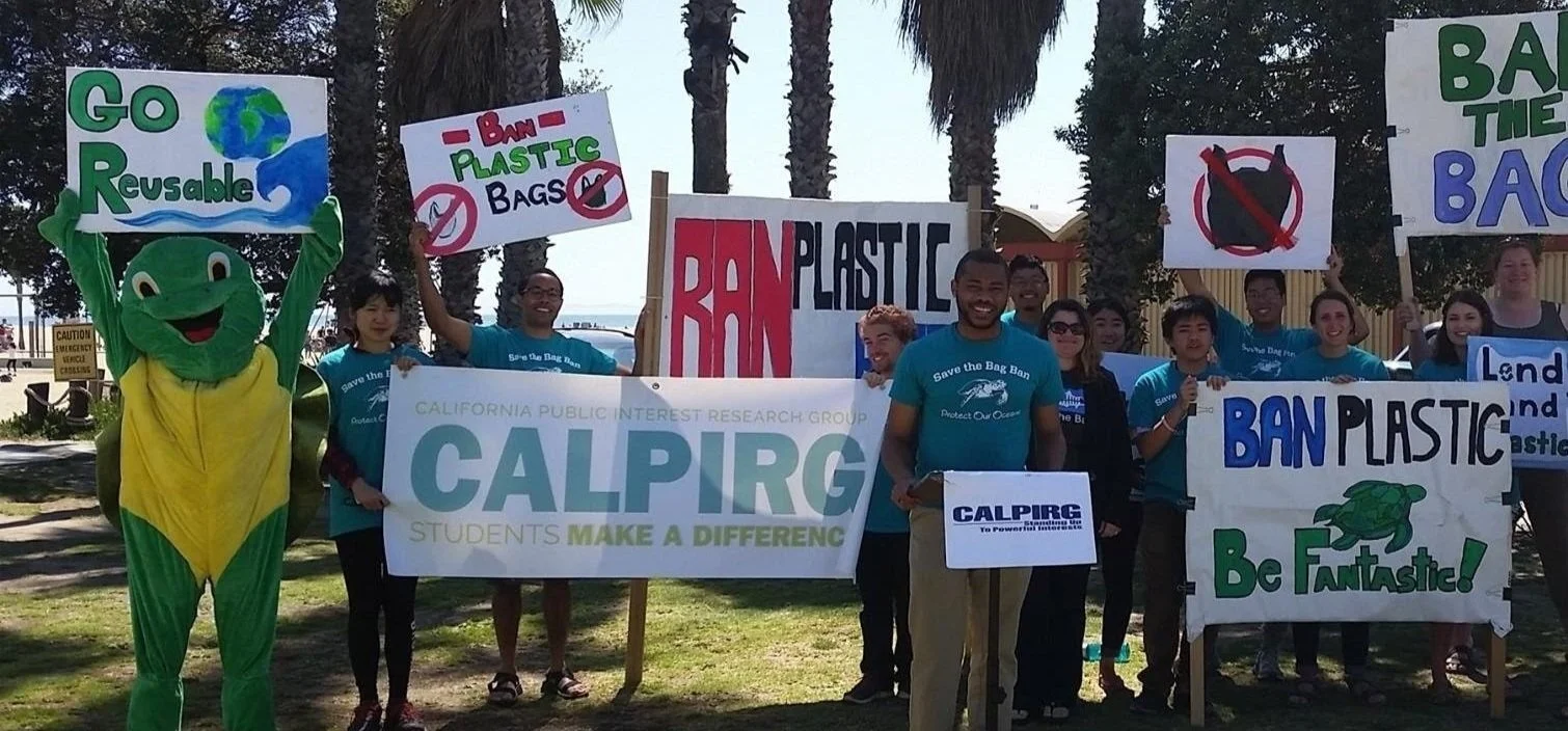 Aidan Hill among a group of people holding protest signs to ban plastic, with a person in a turtle mascot costume wearing a yellow and green costume, standing in a park area with palm trees.
