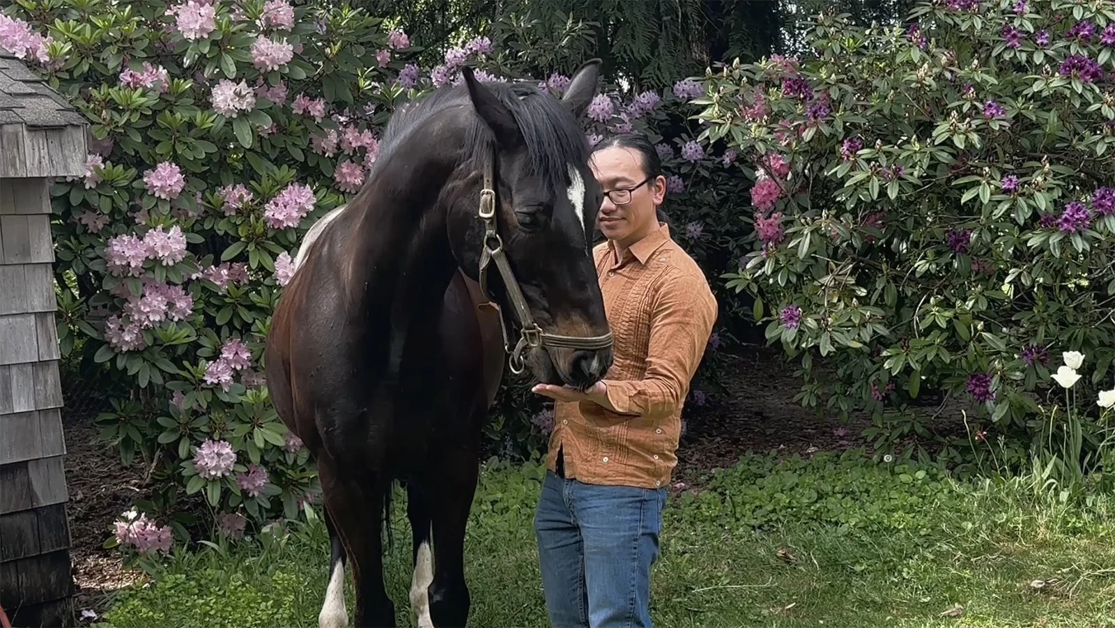 Horse and Heart