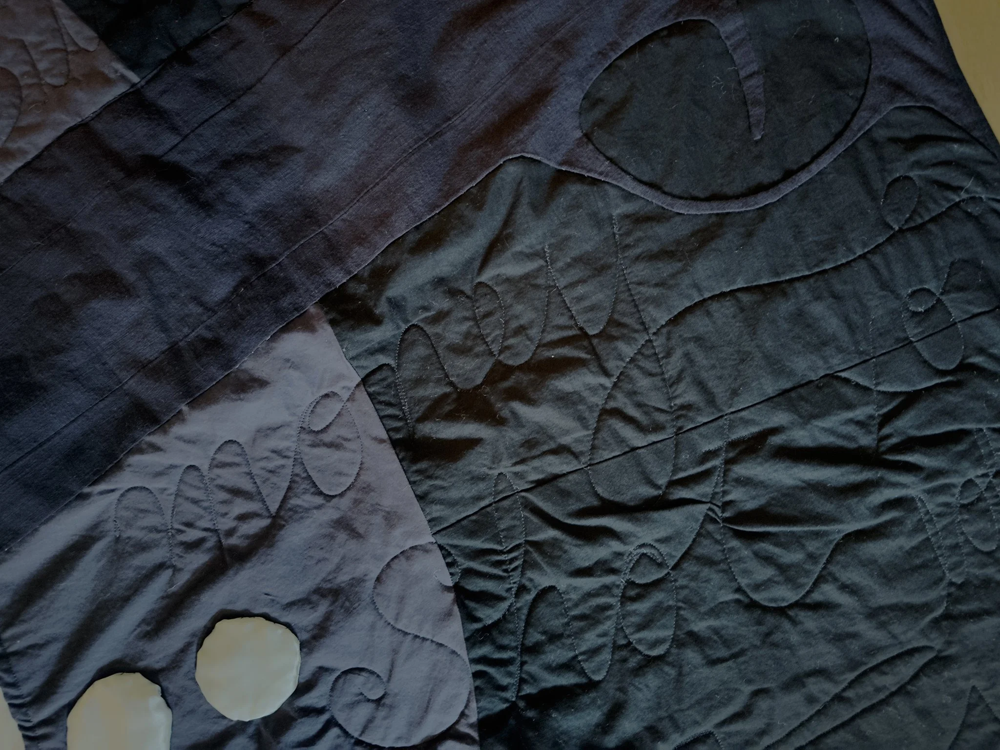 Close up of Lily Michaud's Dowry Quilt. It reads "money Shot" and shows part of a gun.