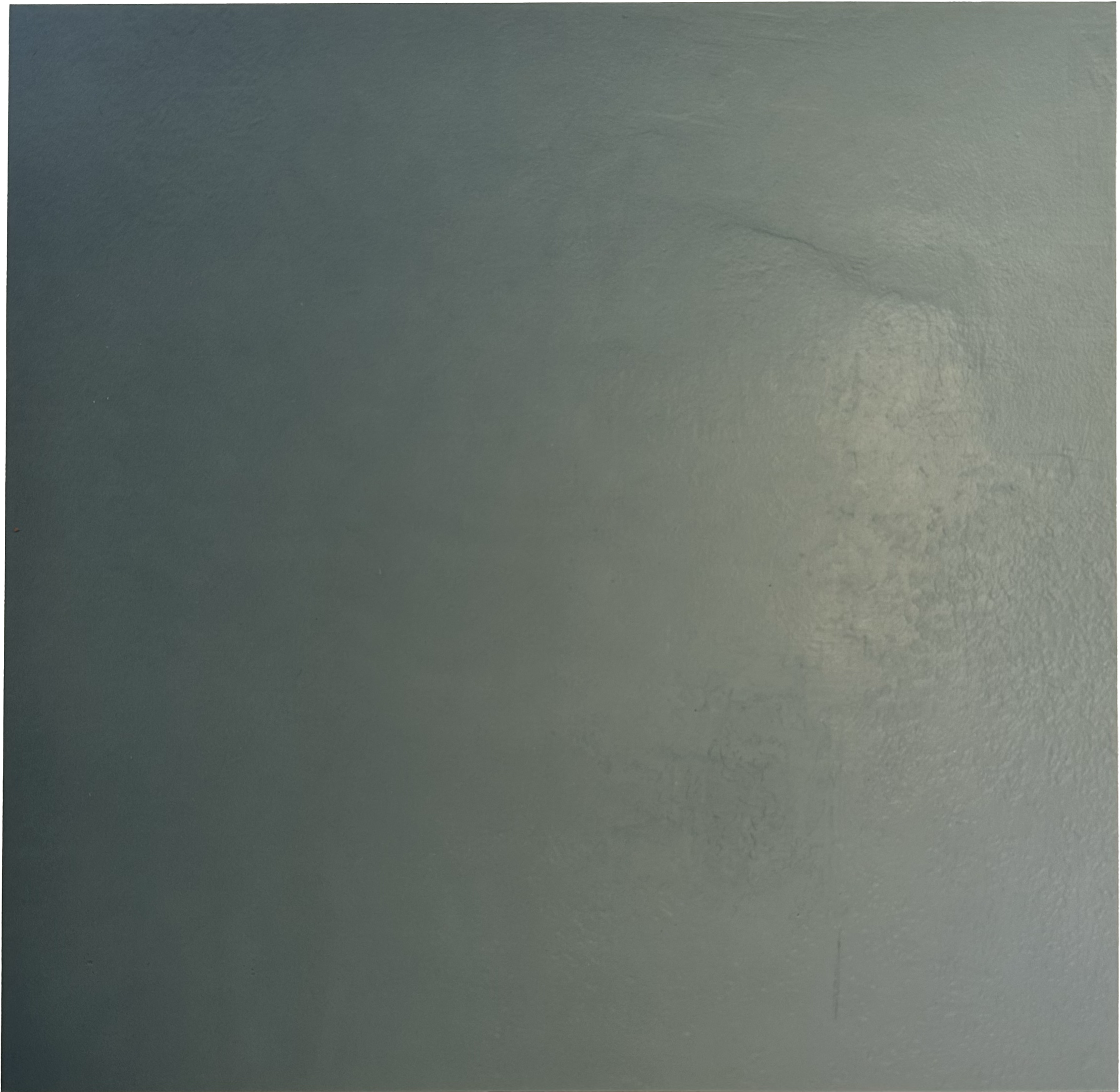 Lily Michaud, untitled wall, 1999, chromogenic print, 14" x 14".