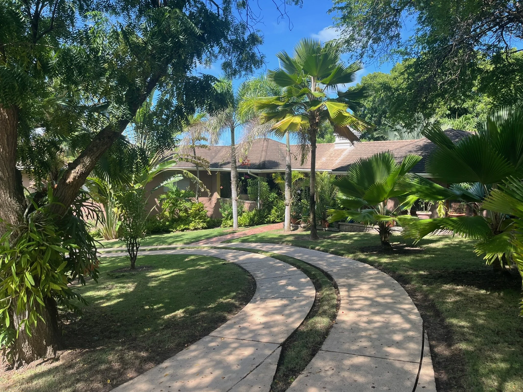 Curved concrete pathway through lush green garden with various trees and plants, leading to a house with a brown roof.