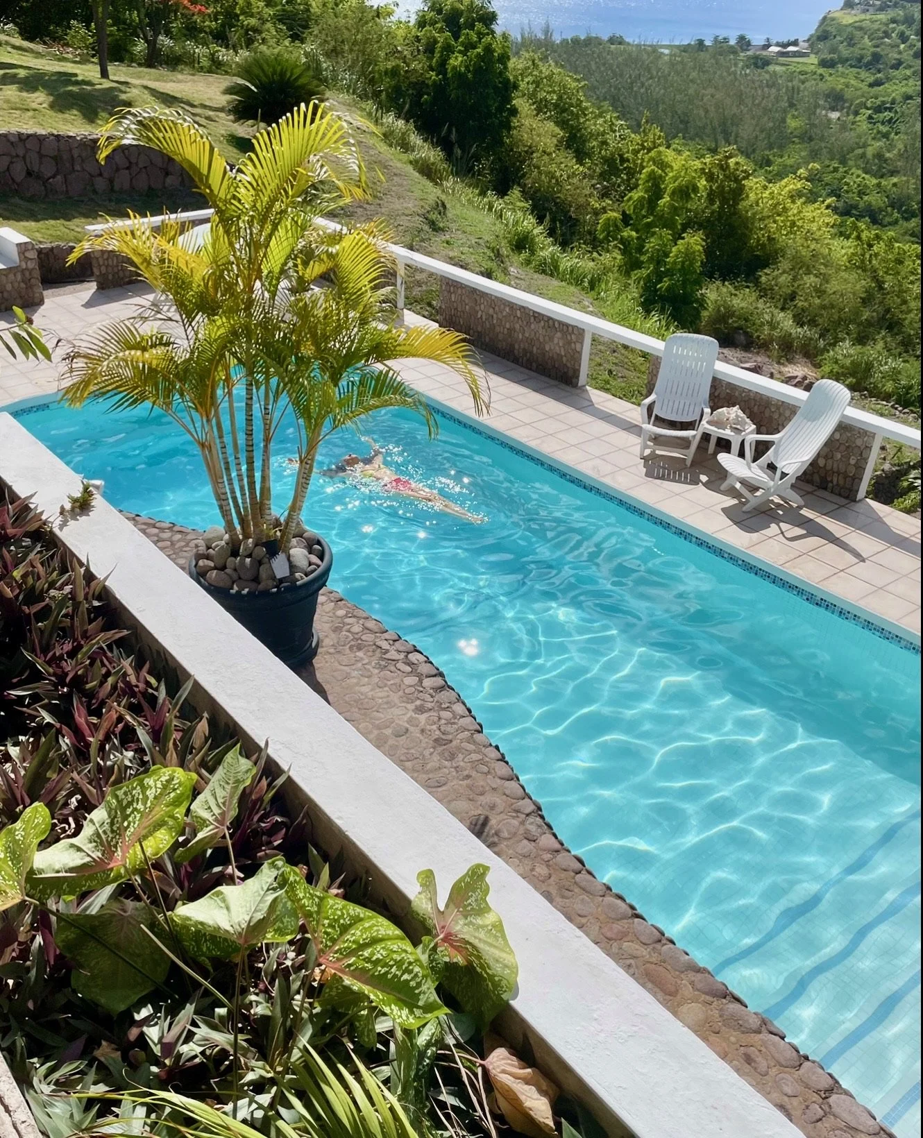 A person swimming in a clear blue swimming pool, surrounded by a patio with two white pool chairs and a small table. A large potted palm tree and lush green hills are in the background.