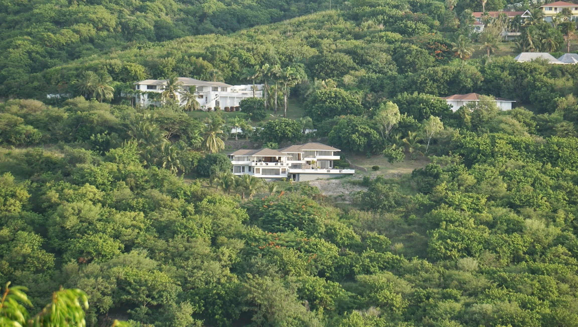 Several modern houses situated on a lush green hillside surrounded by dense trees and foliage.