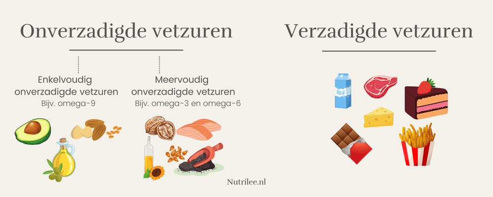 Wat zijn vetten? — Nutrilee