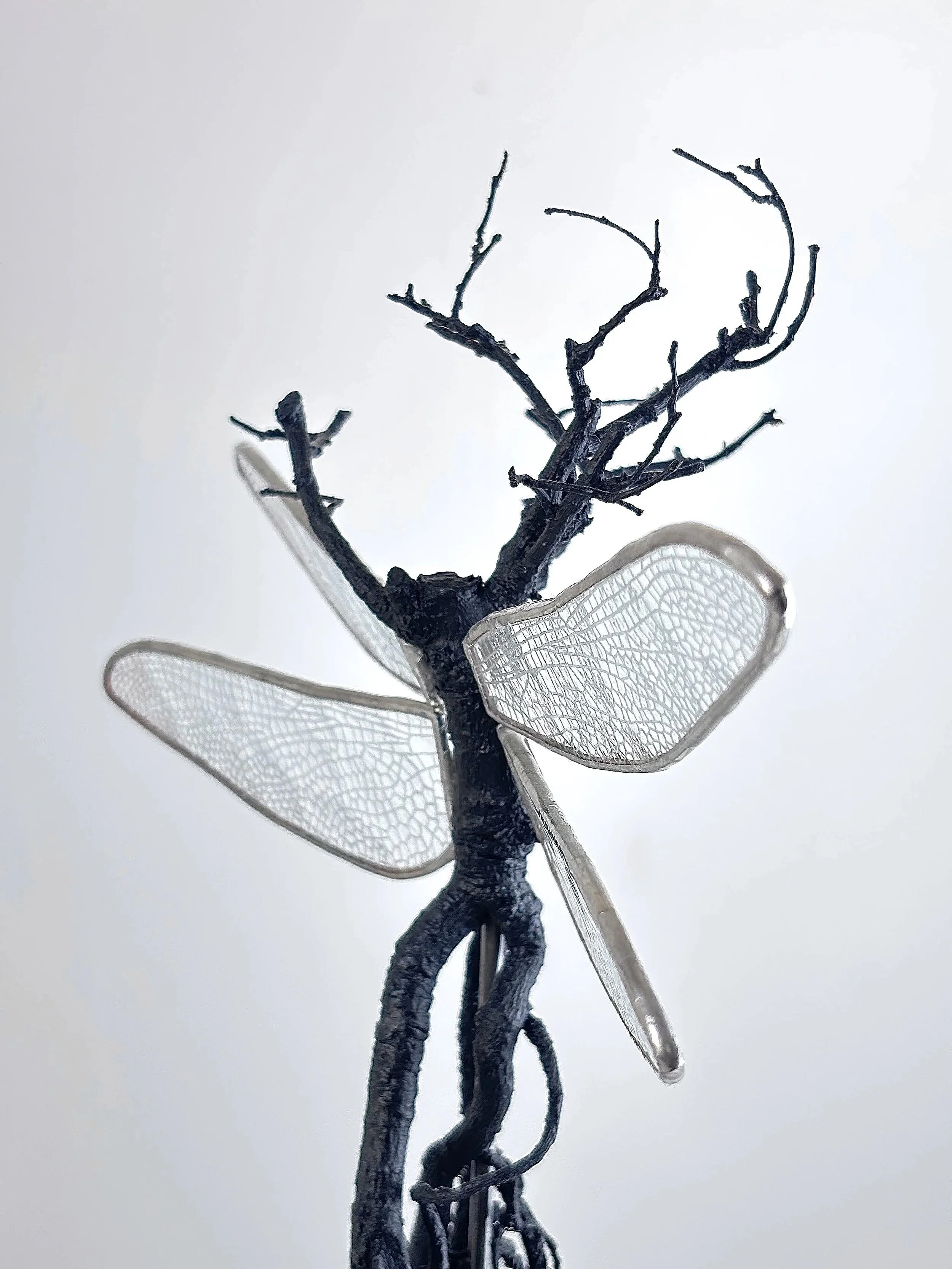 Holding On - Bonsai  (Hand engraved wings)