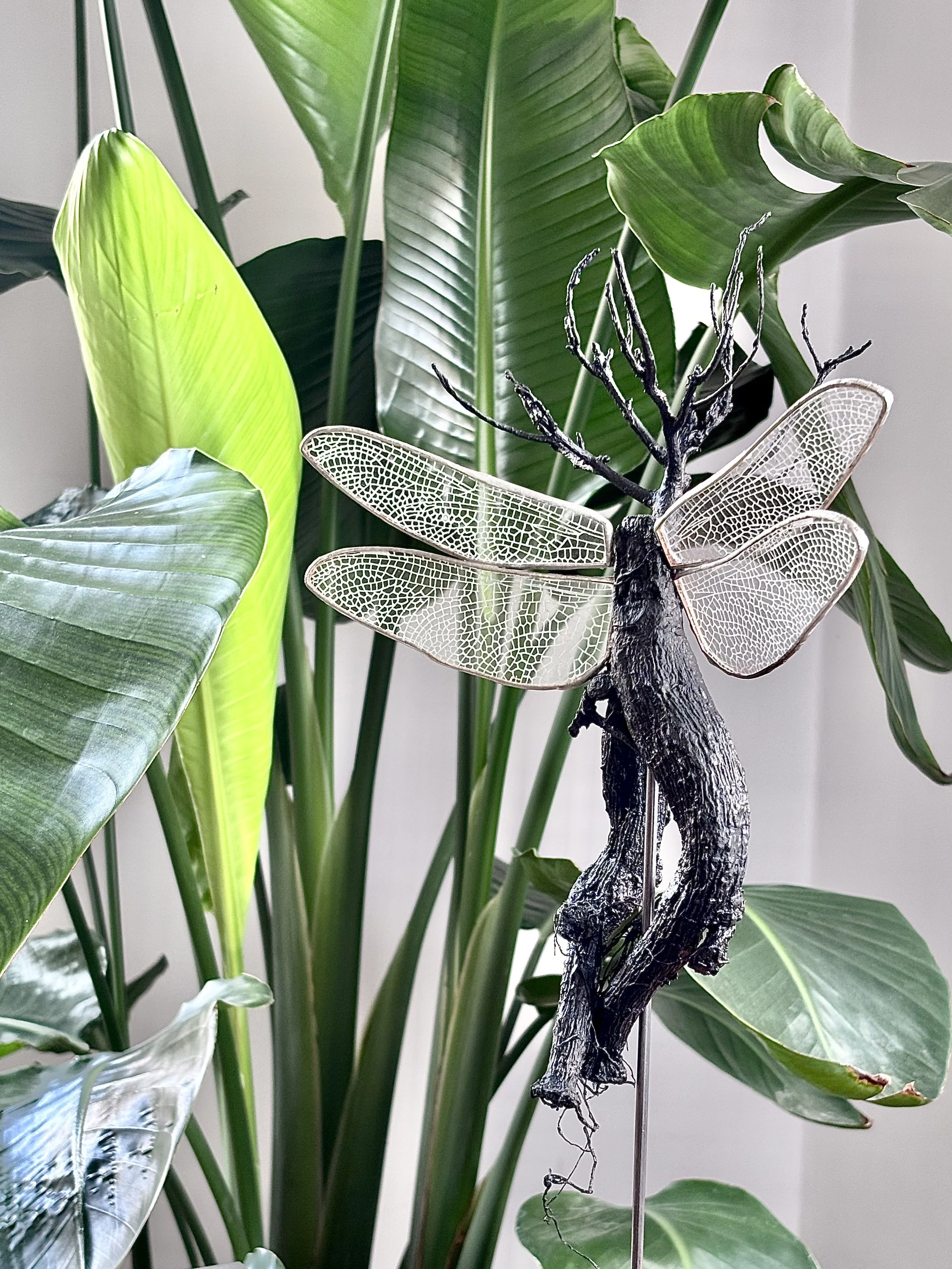 Holding On - Açai  (Hand engraved wings)