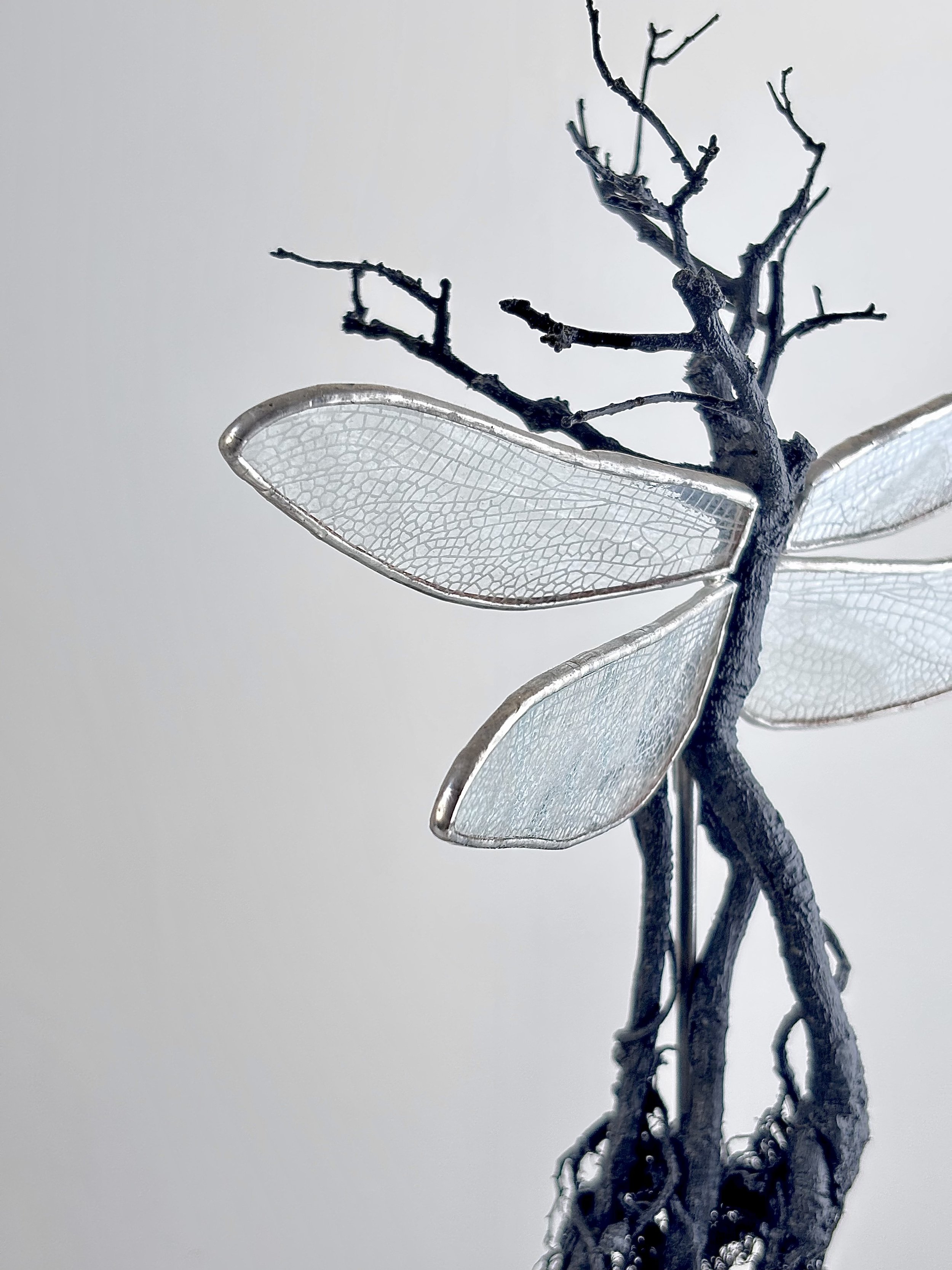 Holding On - Bonsai  (Hand engraved wings)