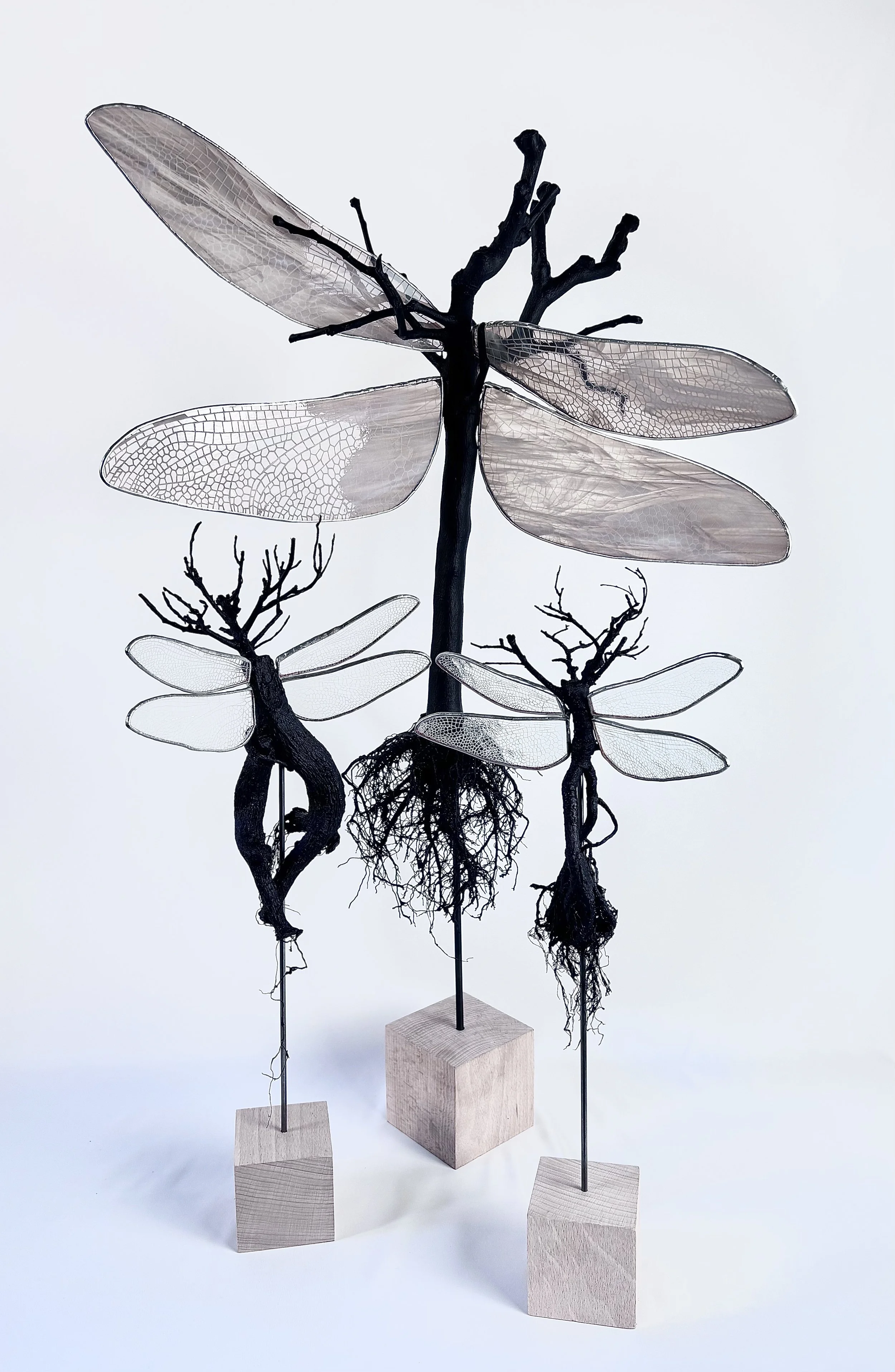 Holding On - Citrus  (Hand engraved wings)