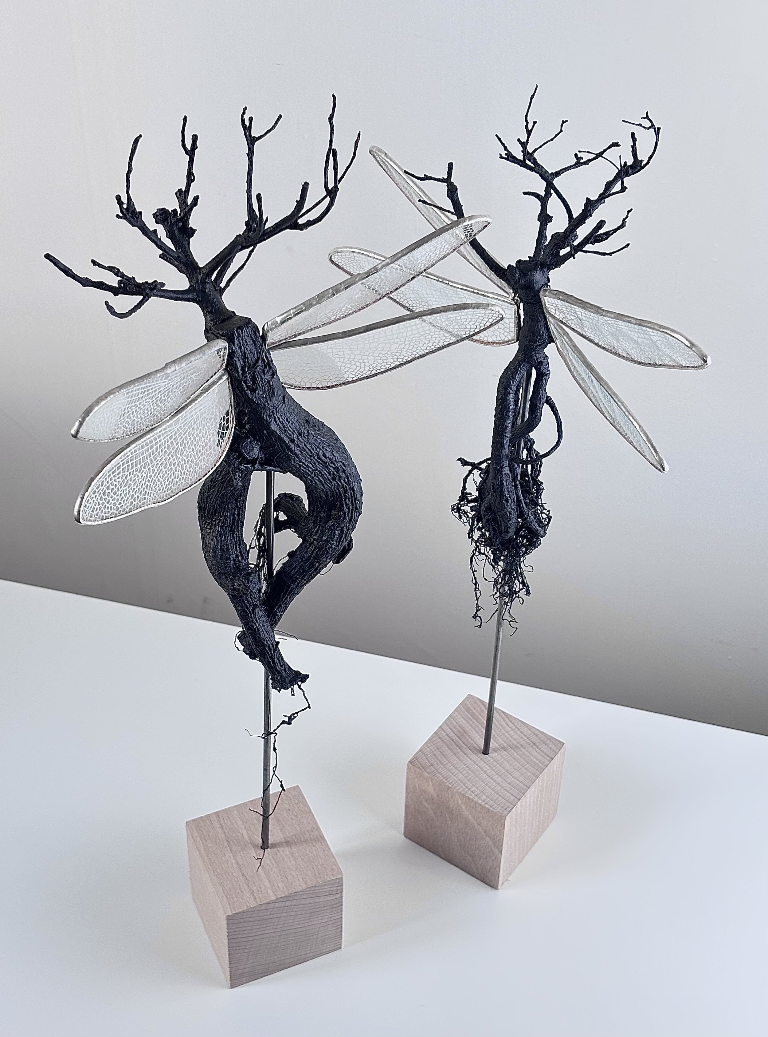 Holding On - Açai & Bonsai  (Hand engraved wings)