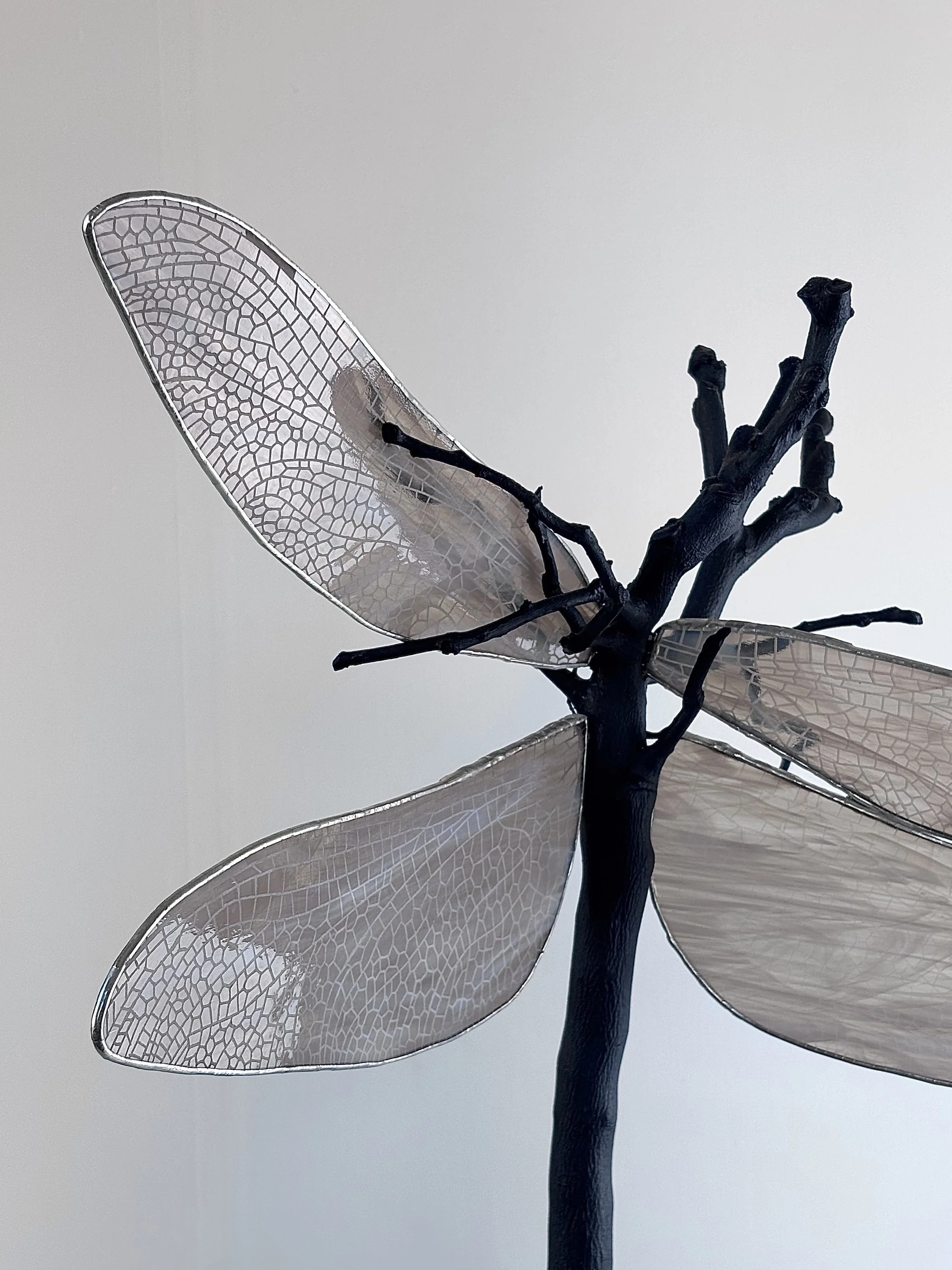 Holding On - Citrus  (Hand engraved wings)