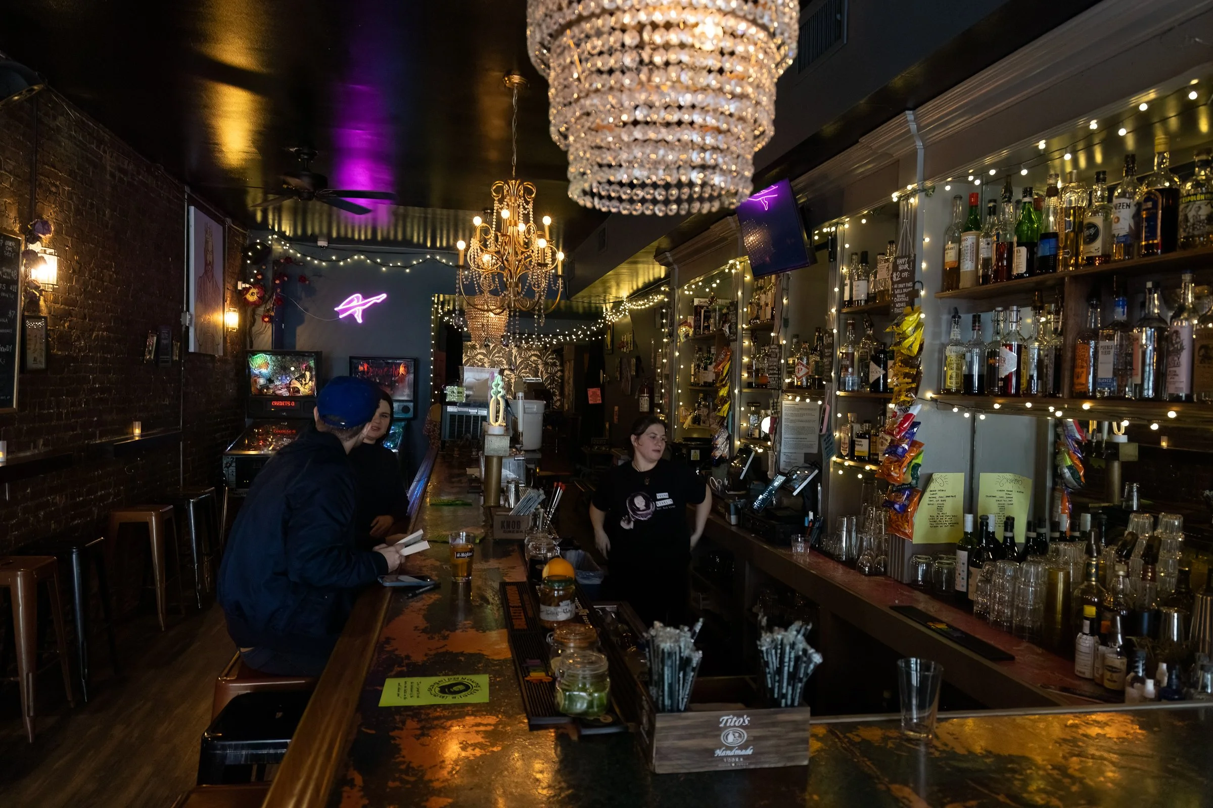 20250330 Bluebird-0004-Edit.JPG