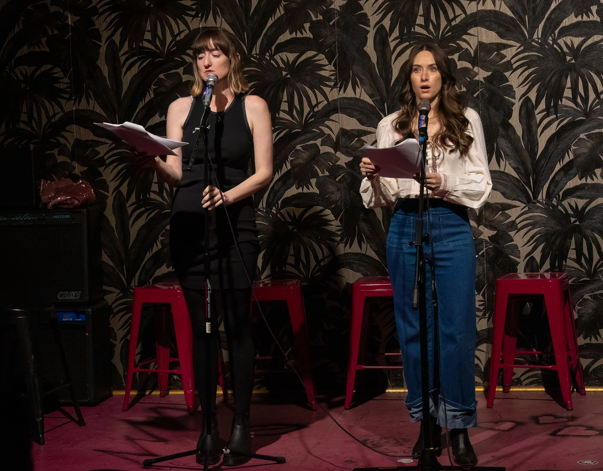 20250330 Bluebird-0036-Edit.JPG