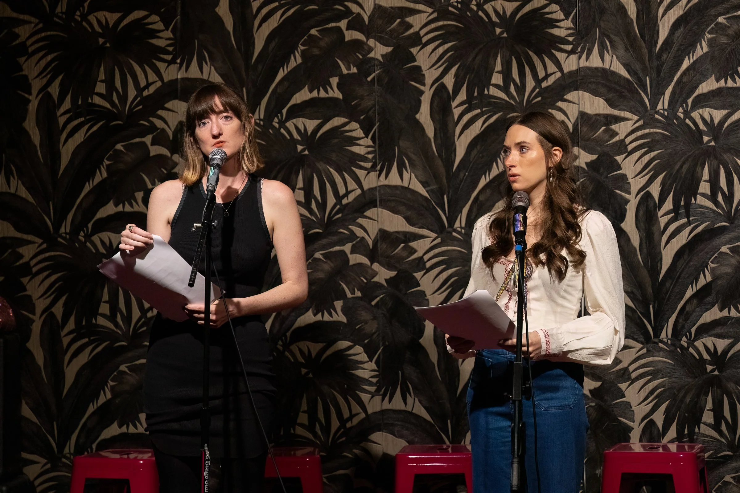 20250330 Bluebird-0052-Edit.JPG