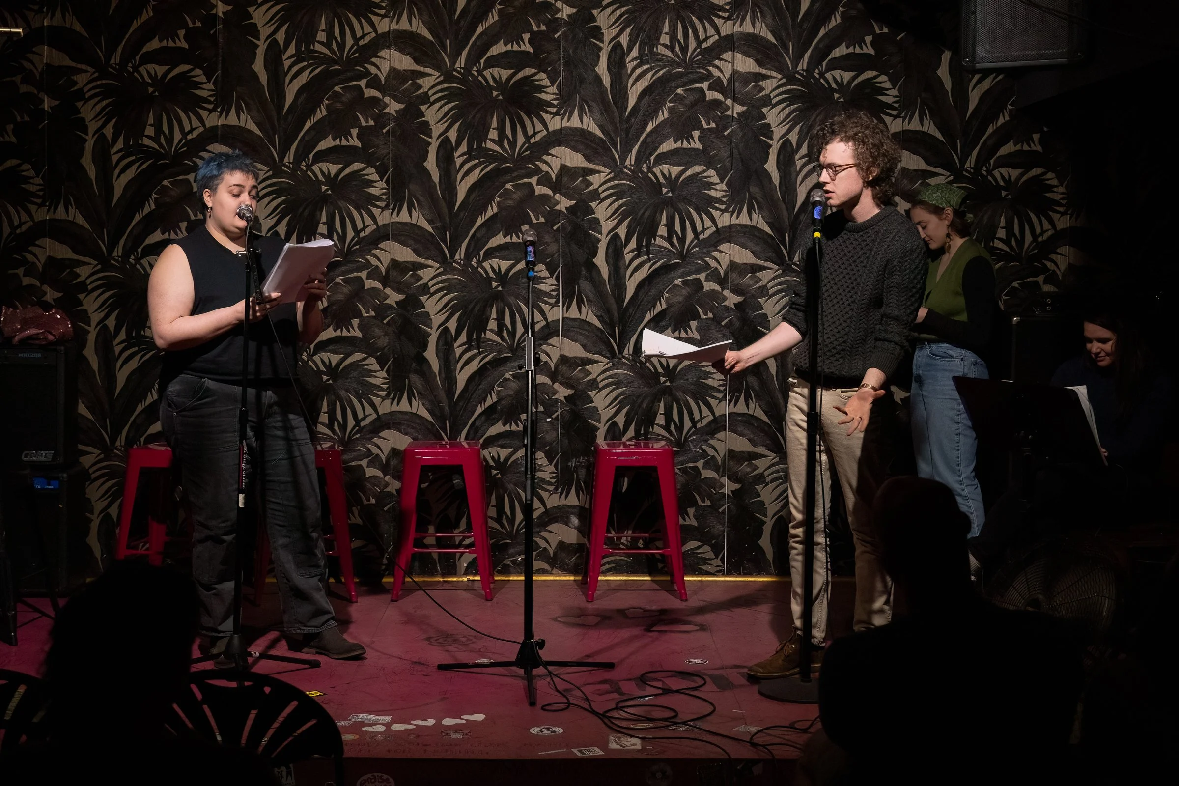 20250330 Bluebird-0128-Edit.JPG