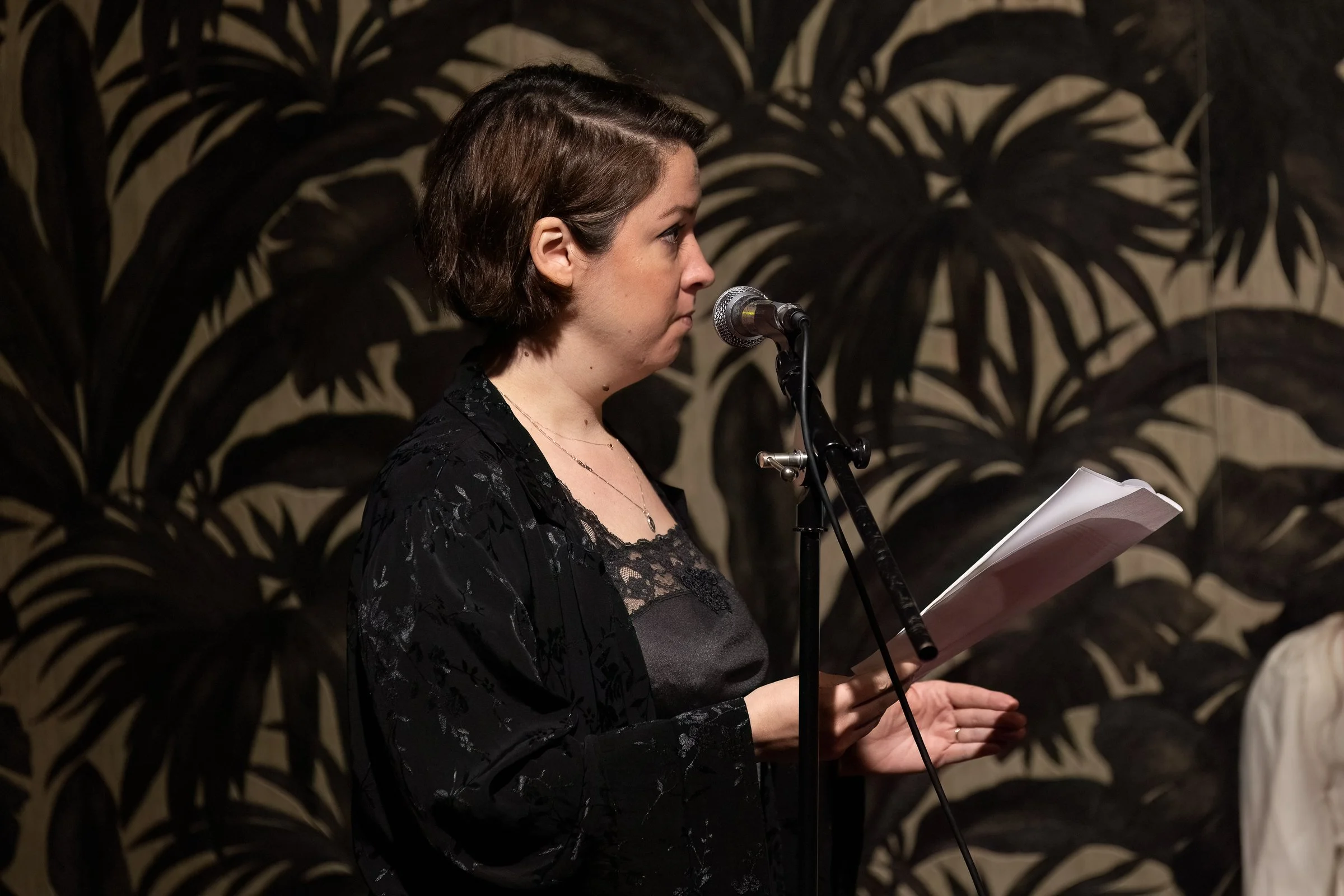 20250330 Bluebird-10068-Edit.JPG