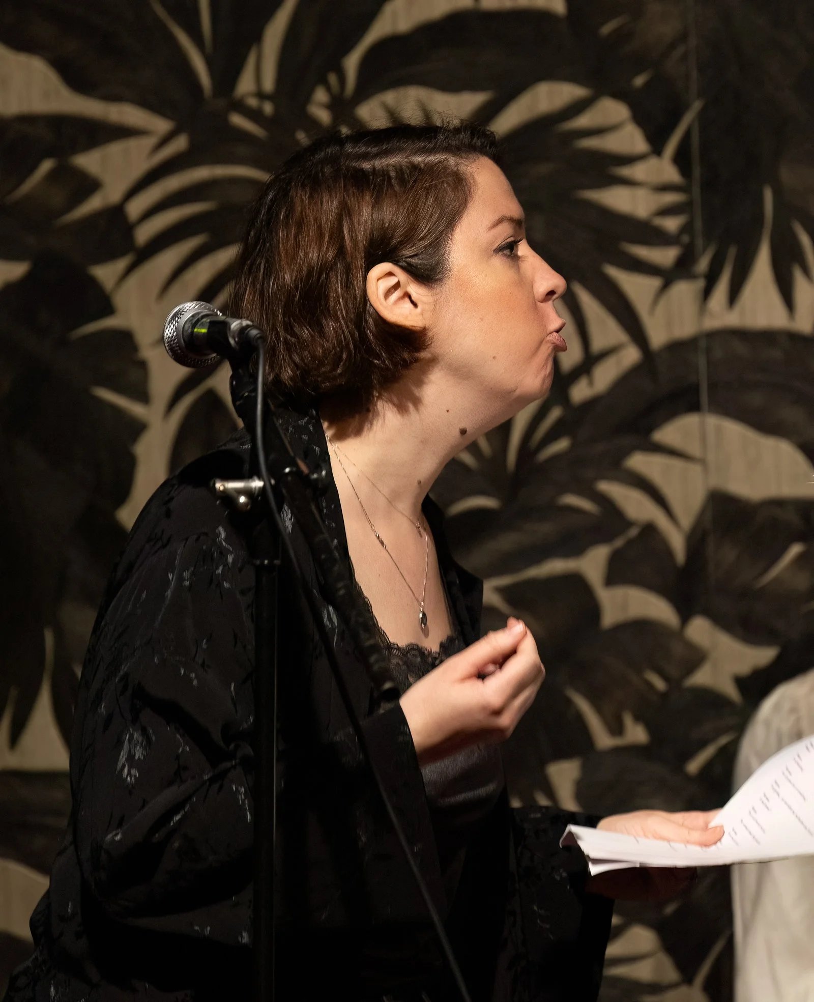 20250330 Bluebird-10076-Edit.JPG