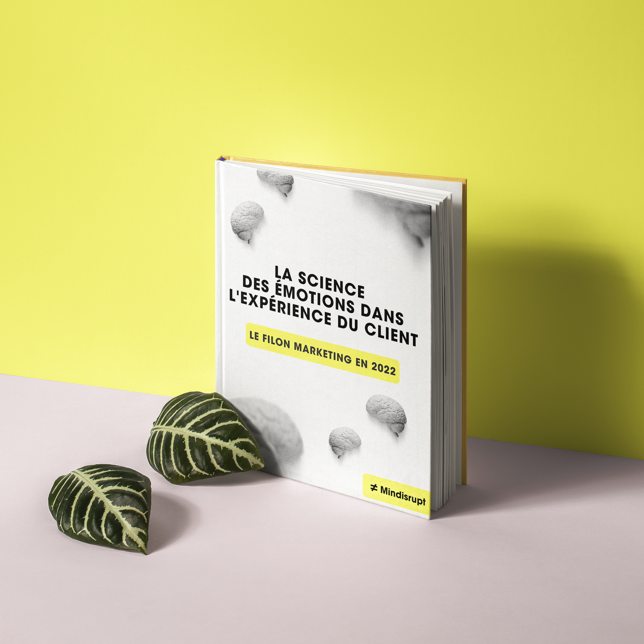 Image illustration ebook mindisrupt.png
