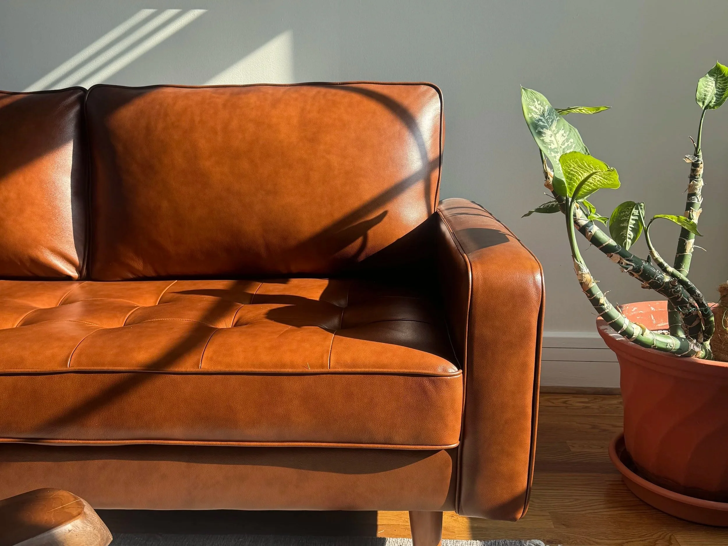 On Being a Woman-Owned Business