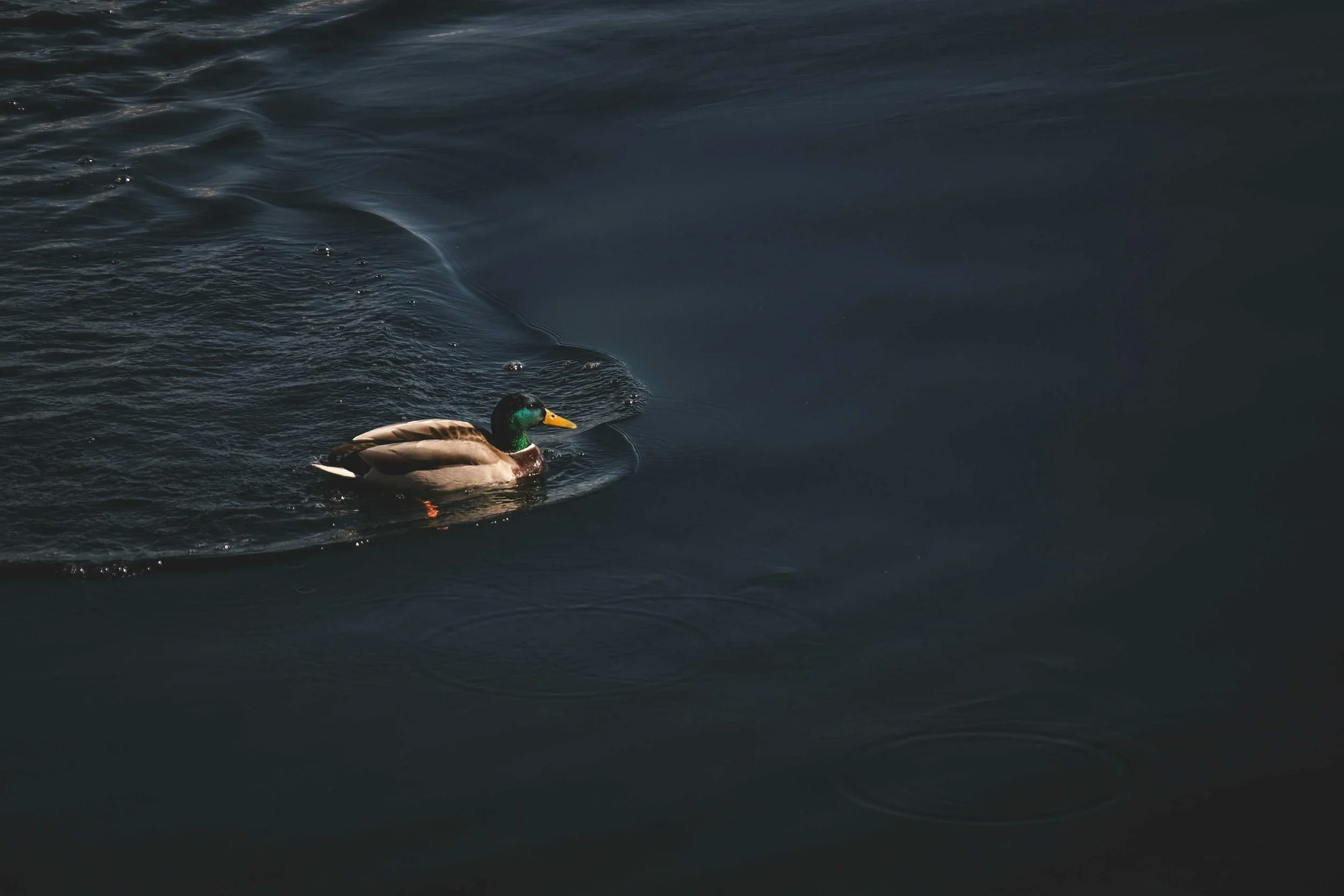 The Quiet Talent Shift Happening Now