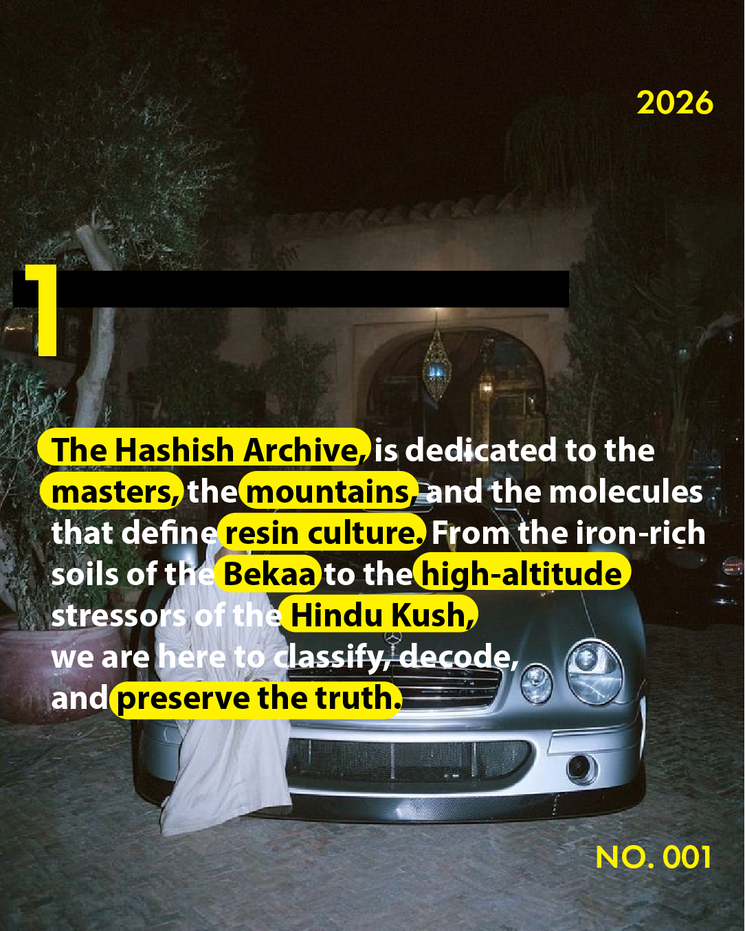 Asset 5.png