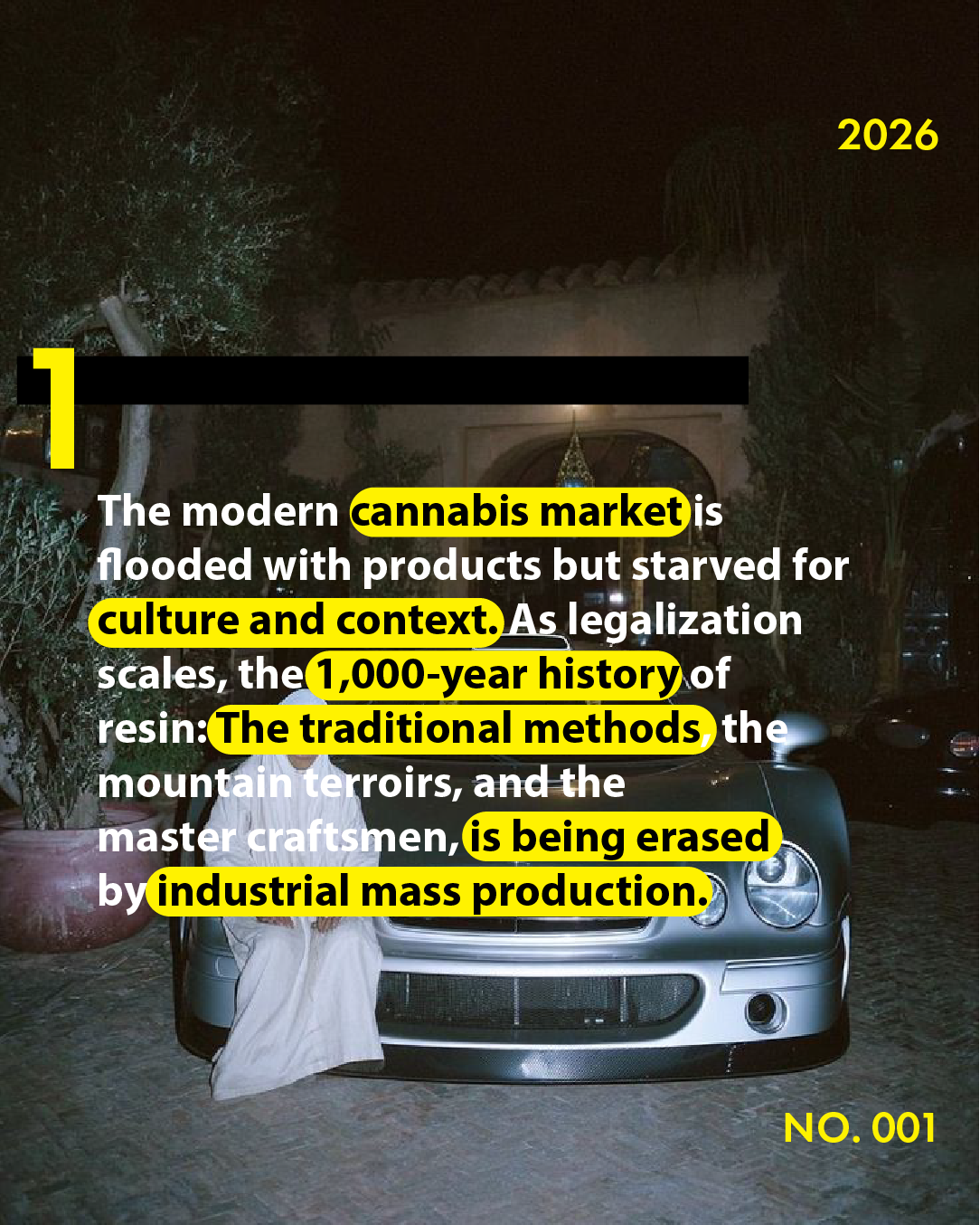 Asset 5.png