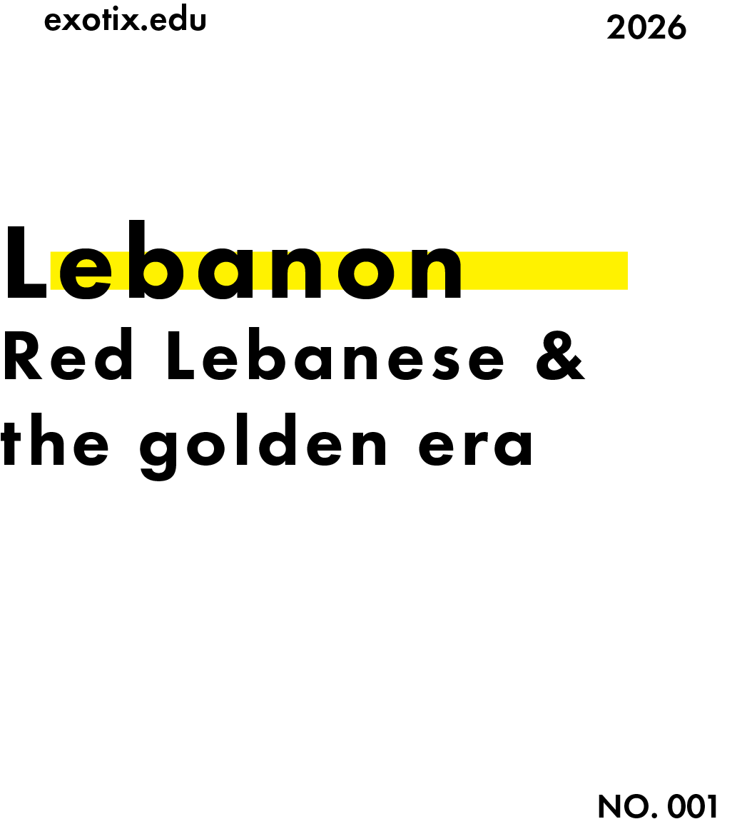 Asset 7.png