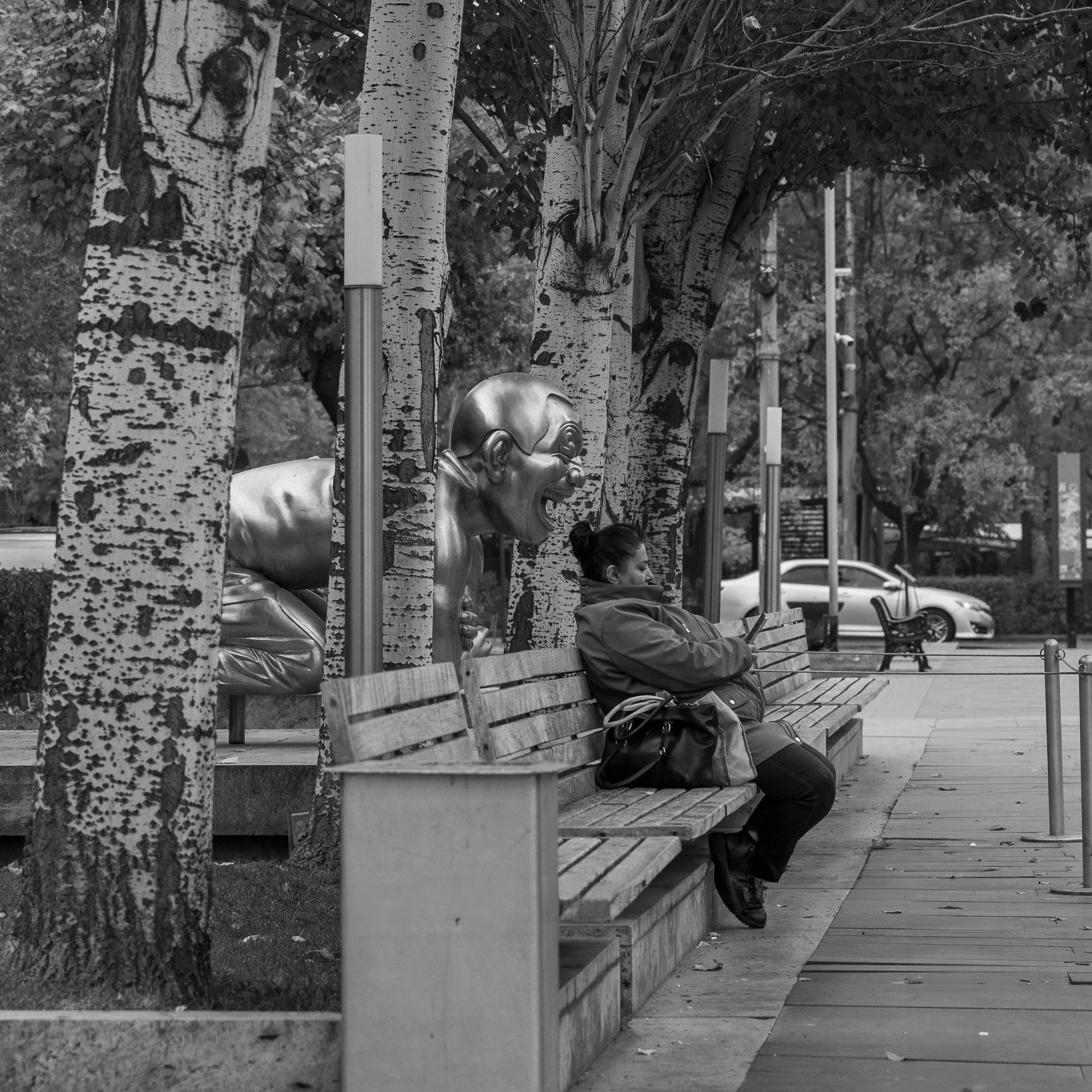 cascade_WNG_C_BW_nyam-1-13.jpg
