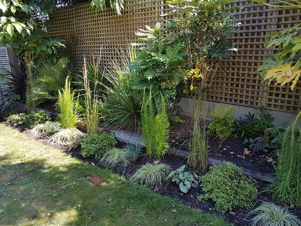 Border Makeover in Southbourne 2019.jpg
