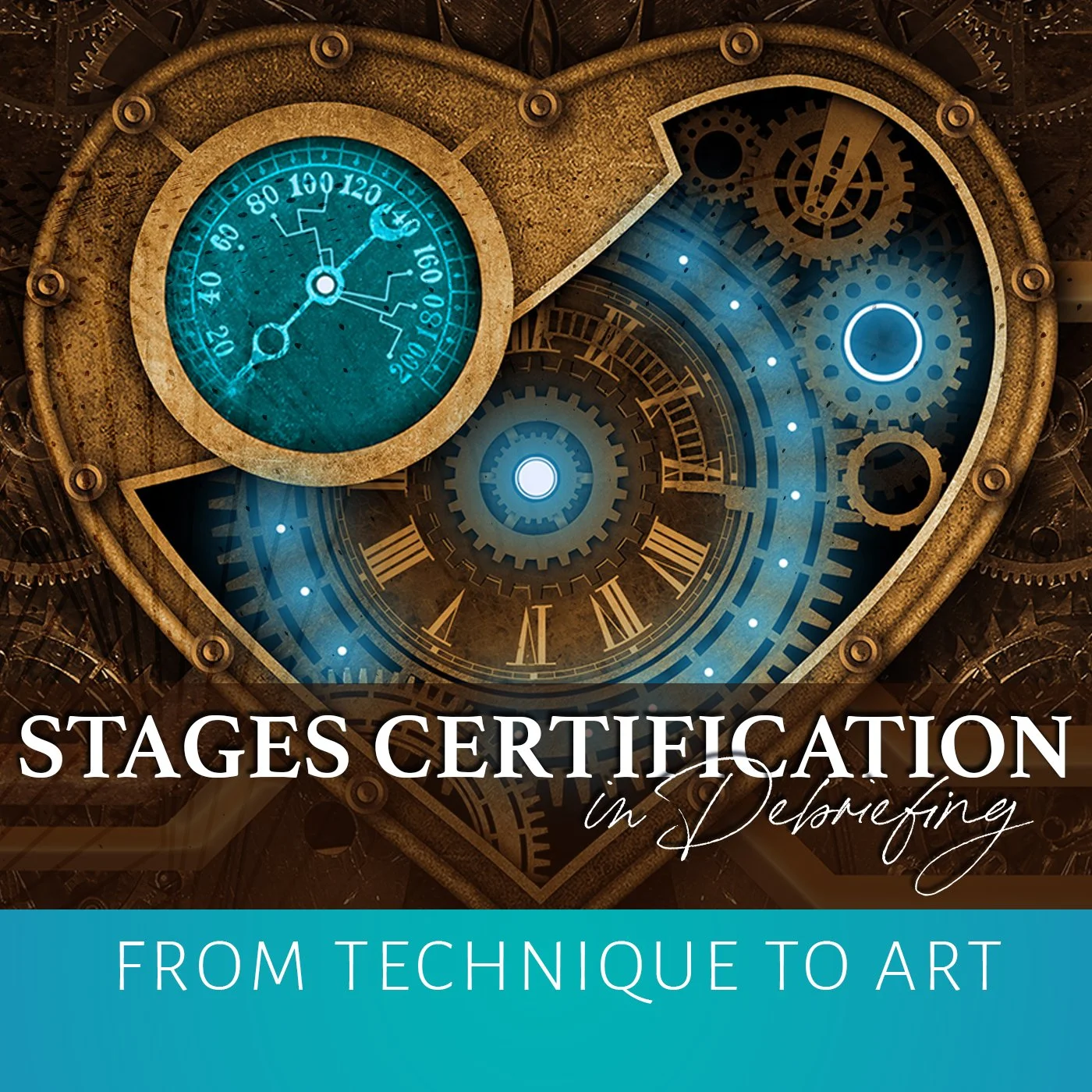 Branding for Terri O’Fallon’s 6-month course to certify STAGES Assessment Debriefers.