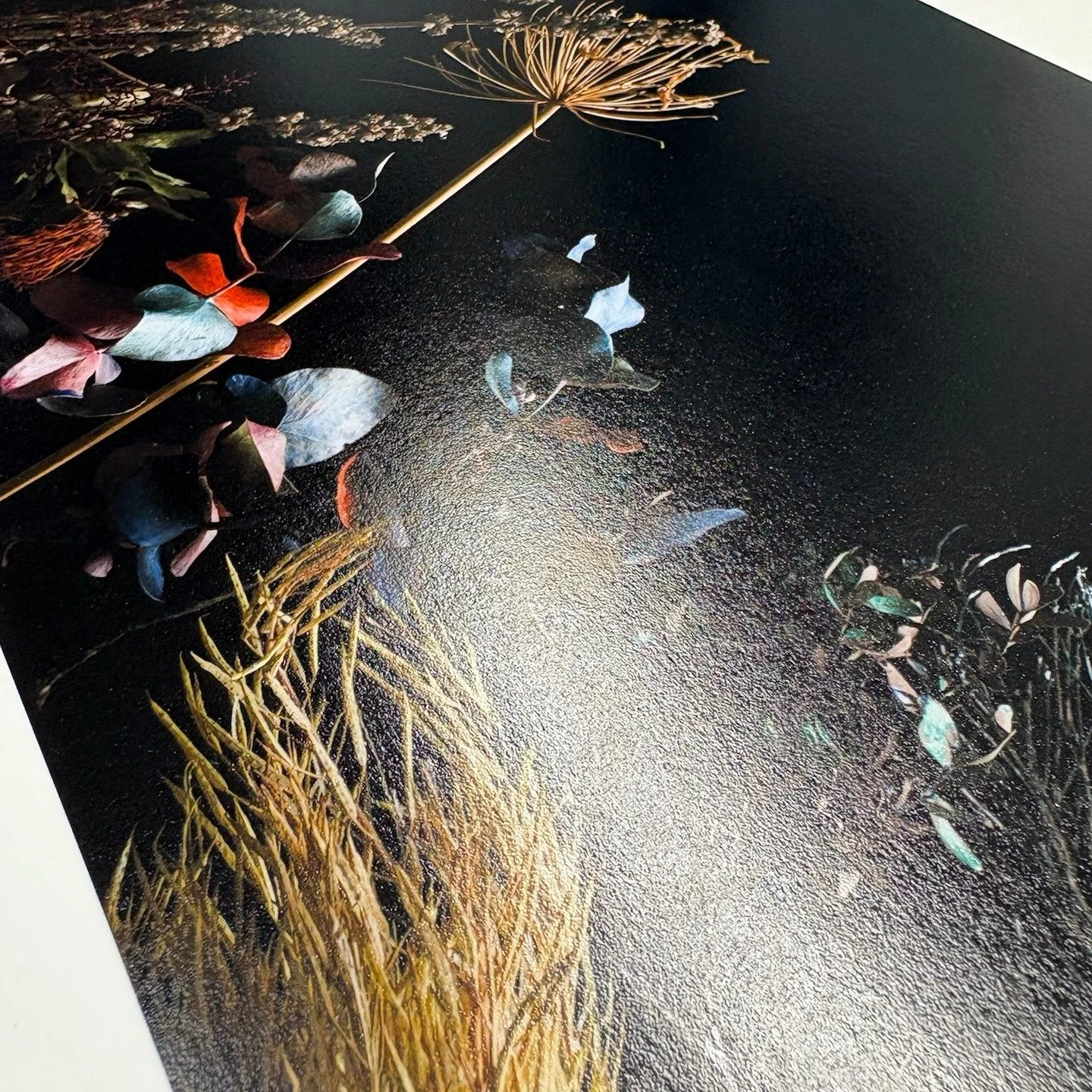 Photo Rag Baryta 315 gsm