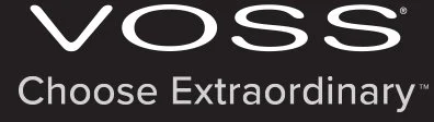 VOSS_ChooseExtraordinary_Logo_White_DarkBG_TM.jpg
