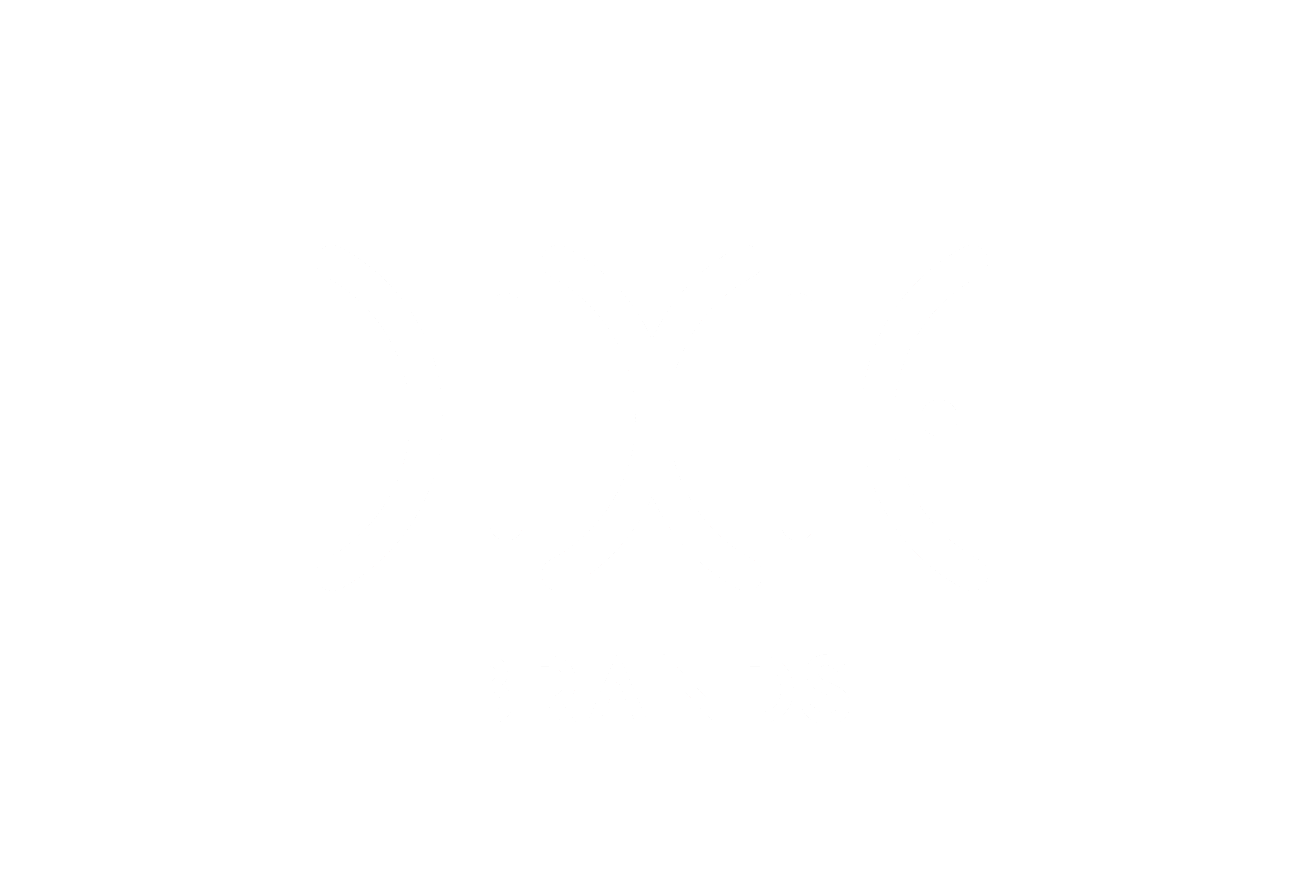 DIXIE LOGO.png