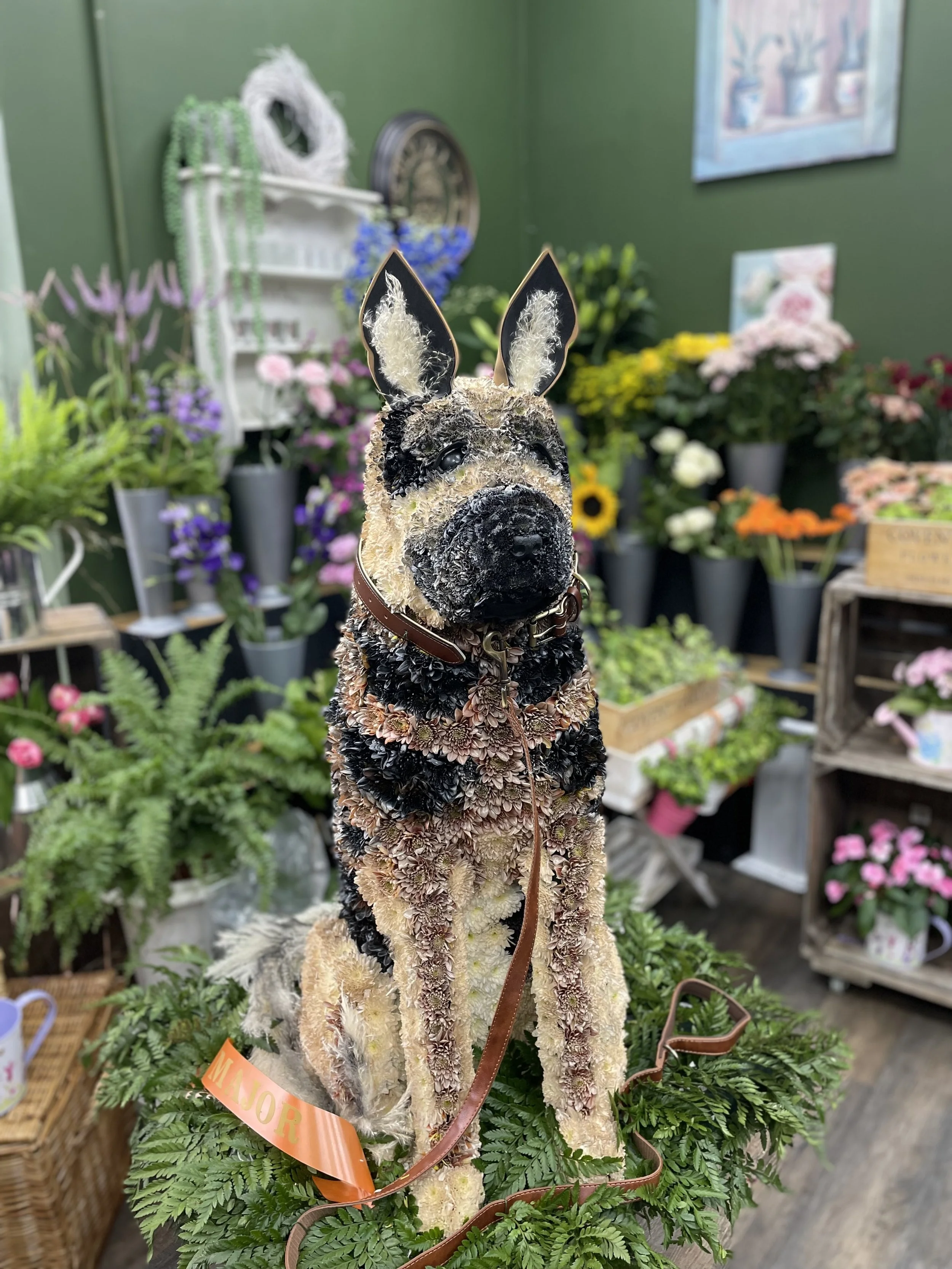 IMG_4004.jpeg