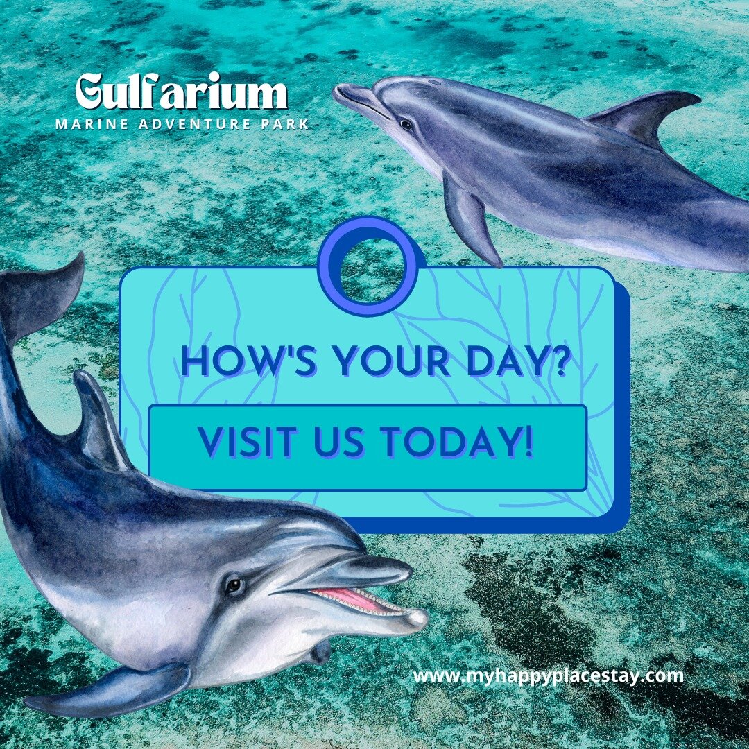 Looking for a family-friendly activity? Visit the Gulfarium Marine Adventure Park and get up close and personal with dolphins, sea lions, and other marine life.
.
.
.
.
#MiramarBeach #EmeraldCoast #Destin #BeachLife #GulfCoast #FloridaBeaches #Vacati