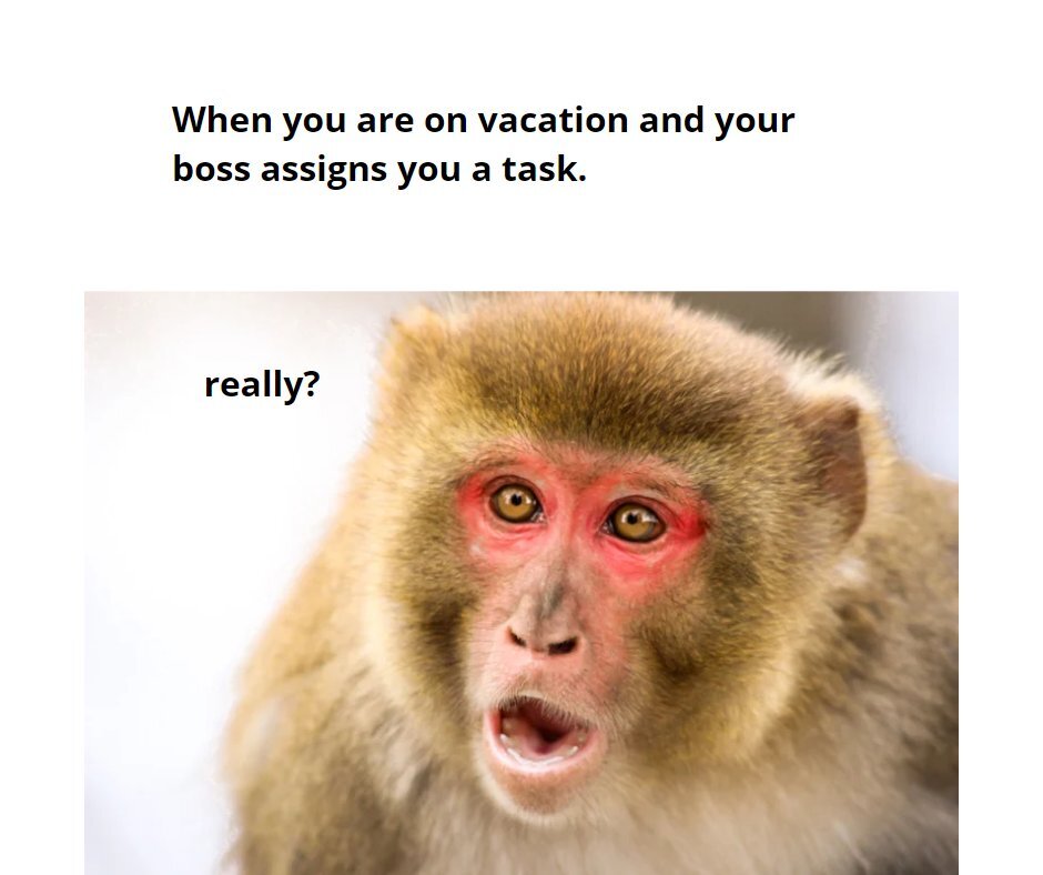 Boss: Take a vacation to recharge. 
Also boss: Calls you three times a day to ask for updates.
.
.
.
.
#travelmemes #travel #memes #travelmeme #travelgram #meme #memesdaily #funnymemes #travelquotes #travelblogger #wanderlust #travelphotography #inst