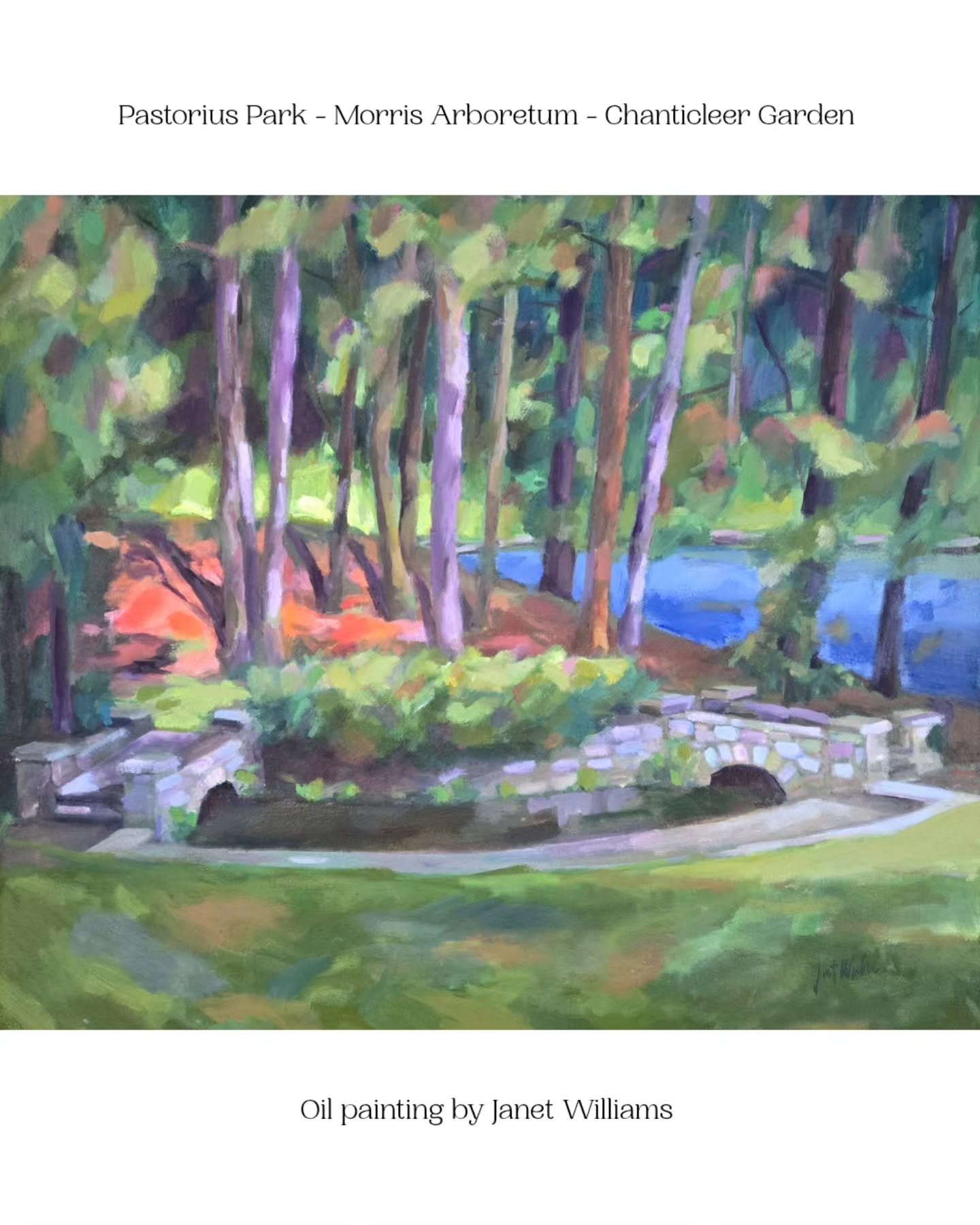 If you attend the summer concerts at Pastorius Park or enjoy strolling the gardens at Morris Arboretum, these lush oil paintings by Janet Williams will take you there any time 🌿 We&rsquo;ve also got two of Chanticleer Garden&rsquo;s most notable fea