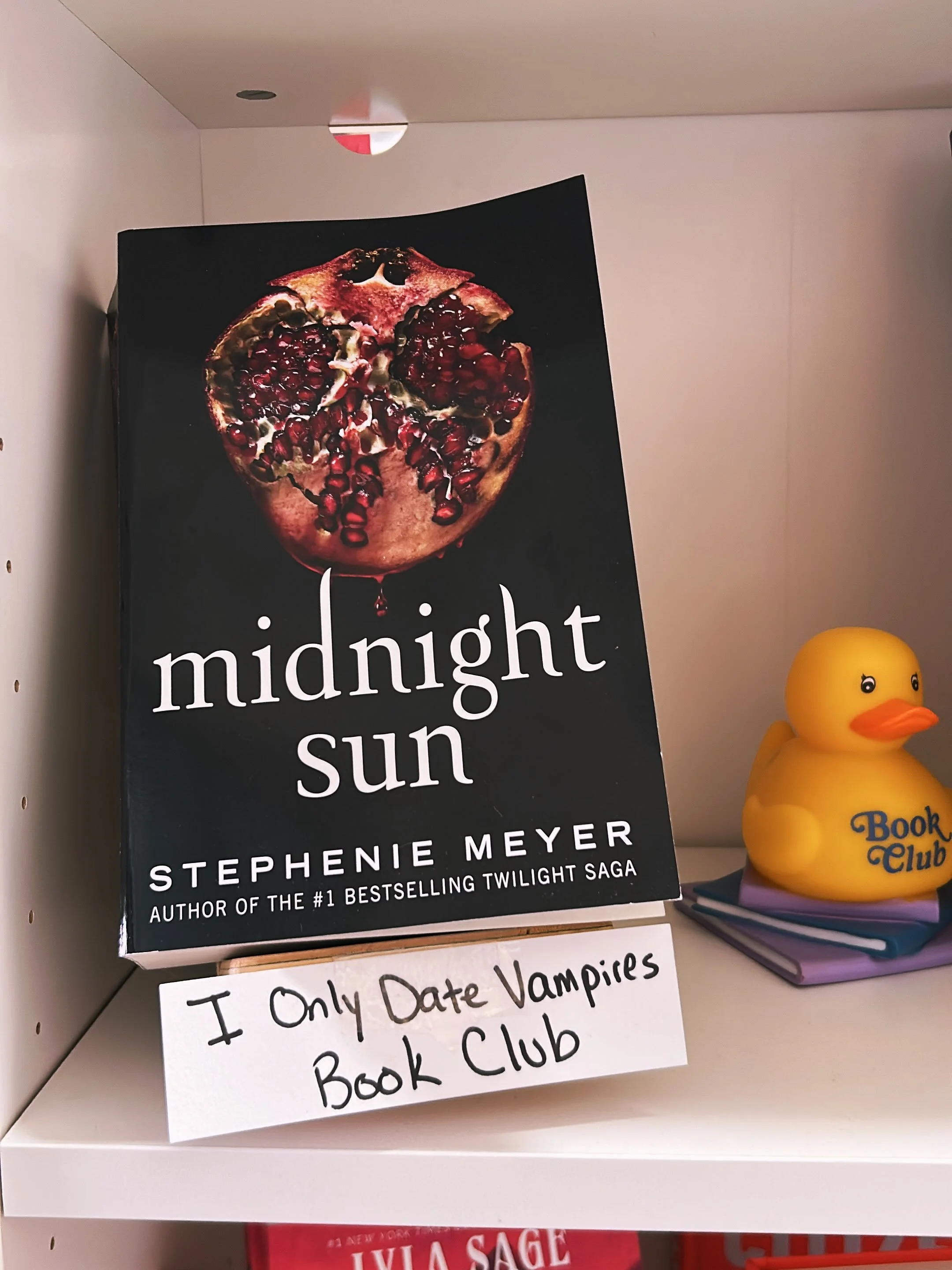 *🩸🧛 AT NIGHT, WE READ! 🩸🧛

Calling all lovers of vampire fiction!

Join us for an engaging discussion of vampire fiction! This month, we dive into Midnight Sun, a companion story to Twilight. 

🗓️ Thursday, November 5 ⏰ 6:30 PM 📍 Literati Press