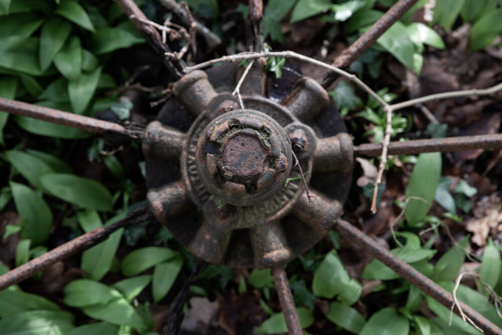 Old machinery embedded in the undergrowth