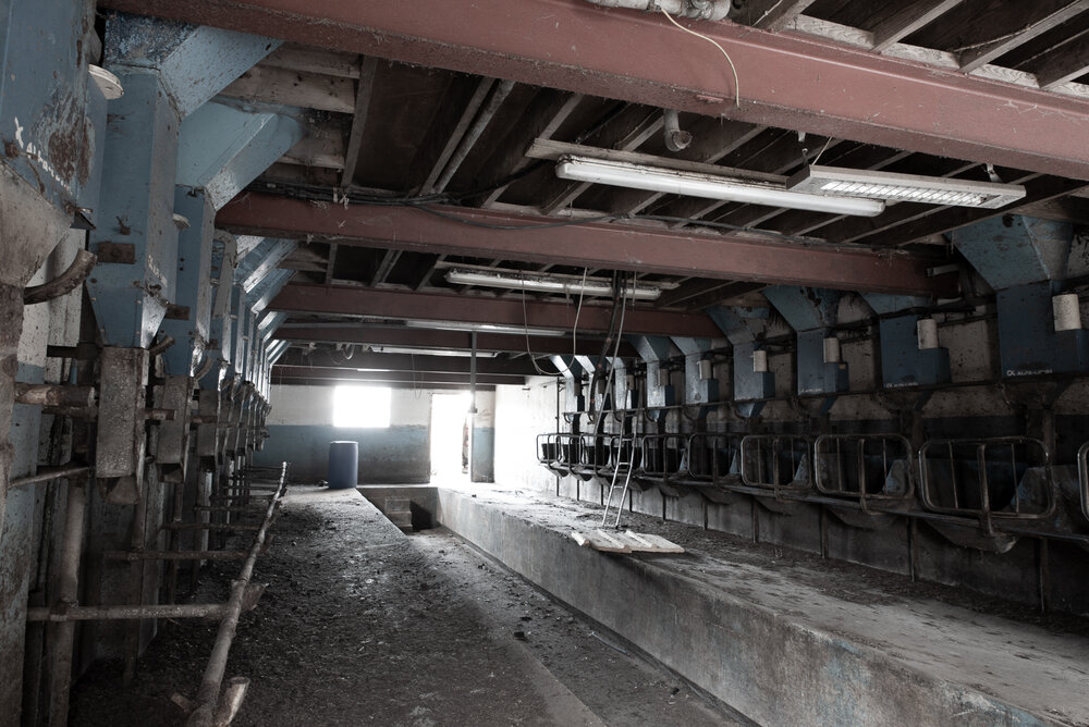 Old milking parlour