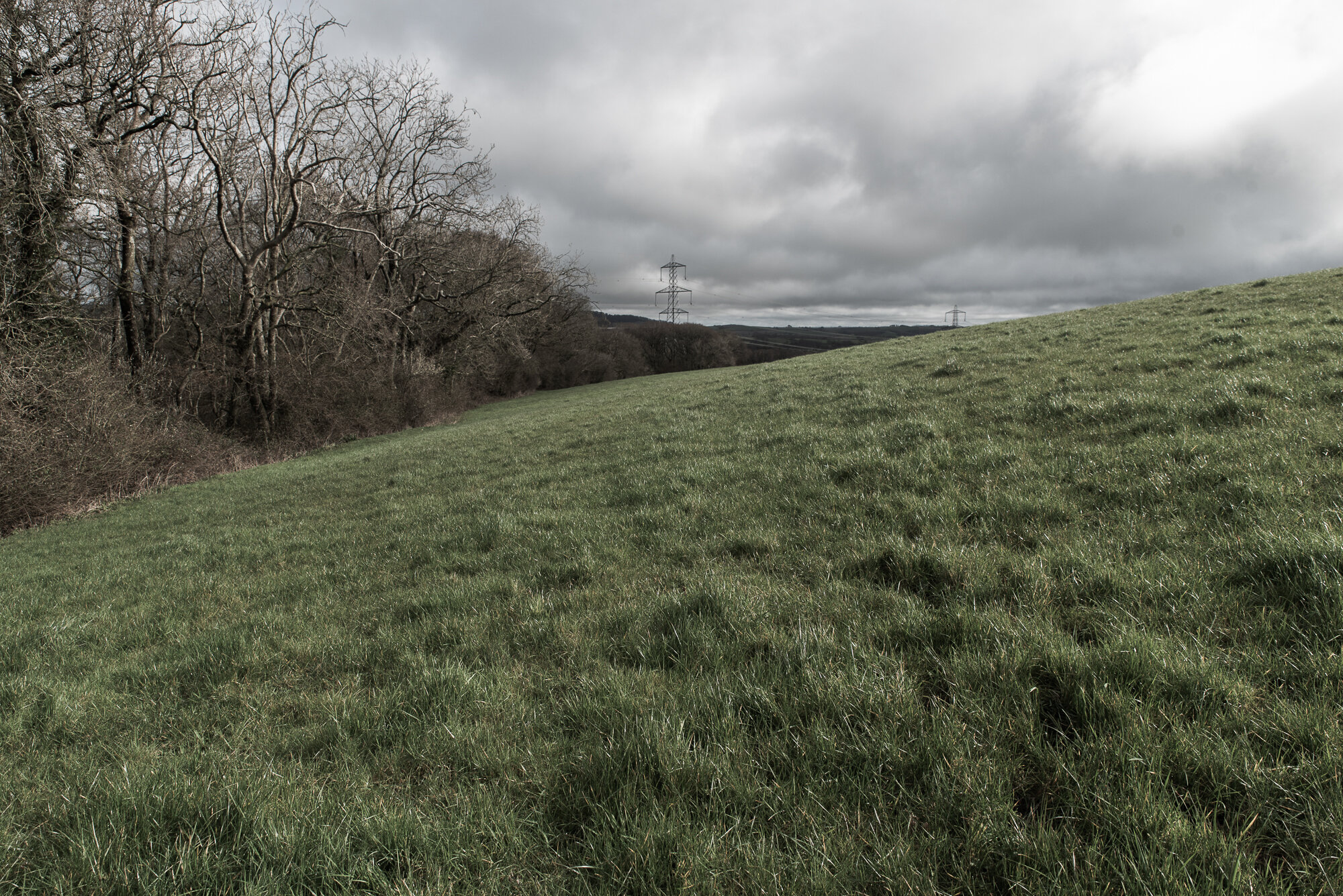  Marginal land leading up to woodland around the stream