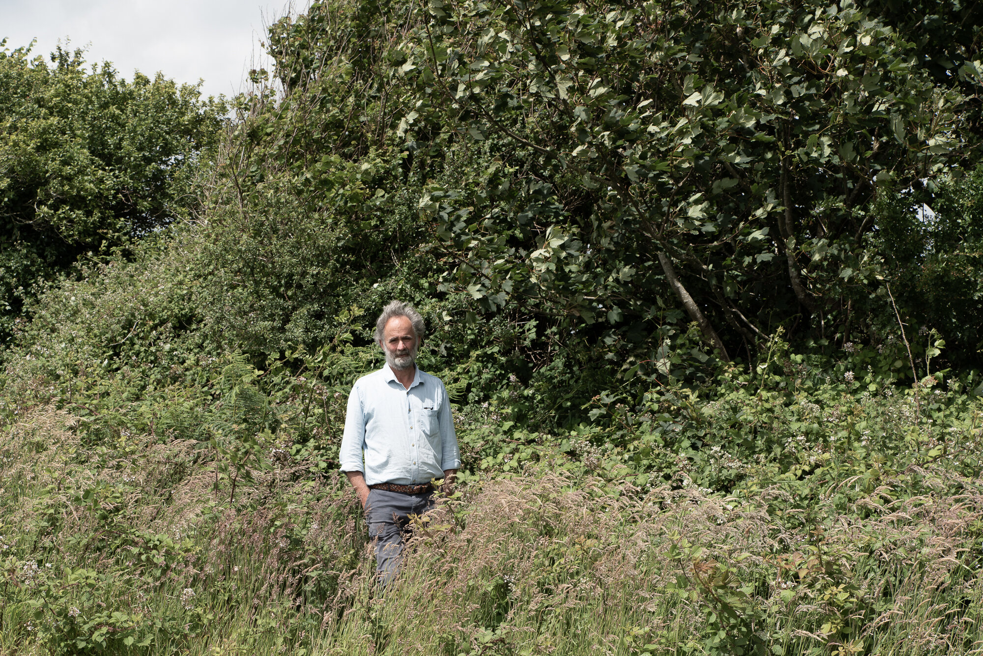 'Exploded' hedge